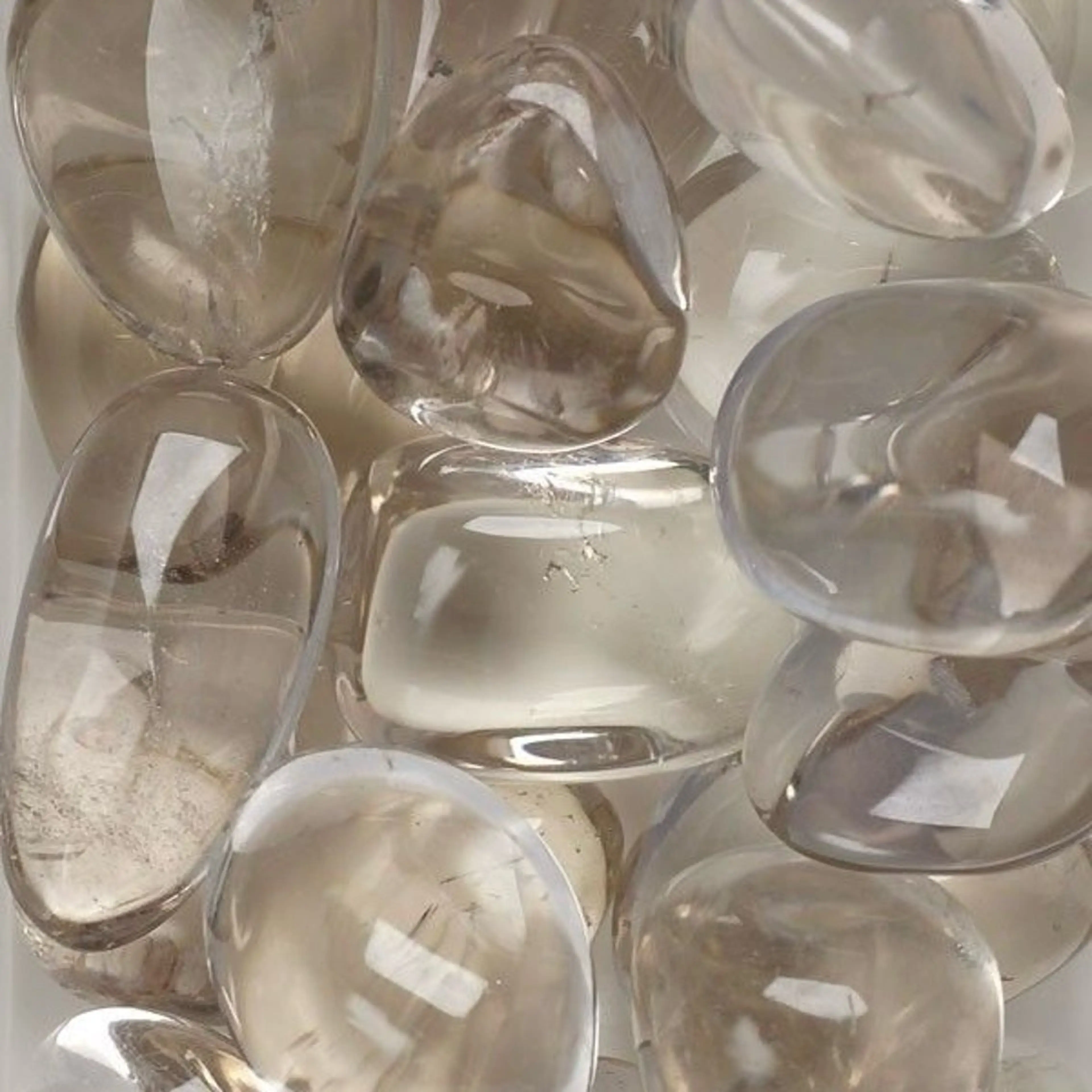 【当店付け替えOffあり】Foot👣┋One Color┋の写真