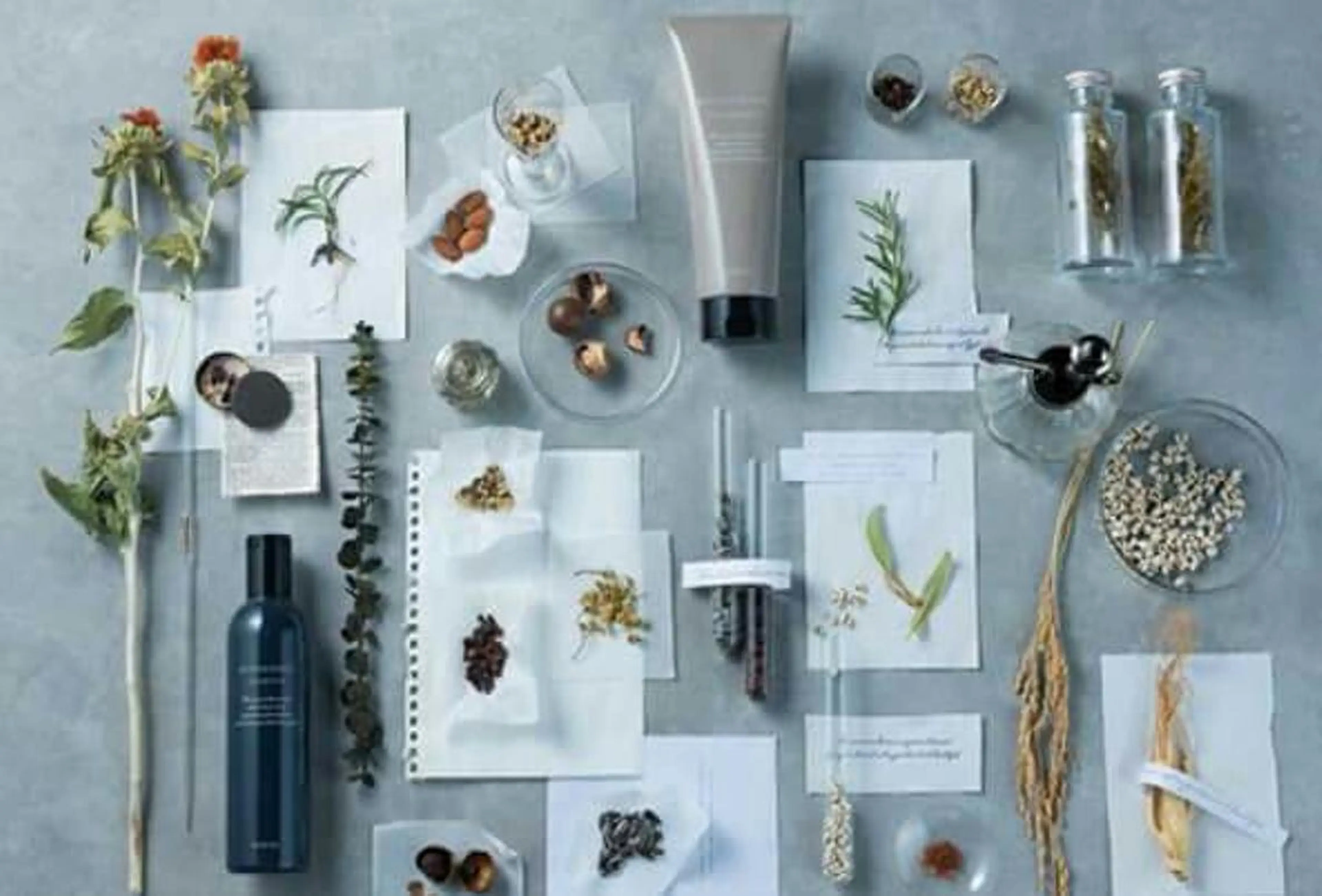 ミディアム エムズハウス所属・野末 美穂のヘアスタイル