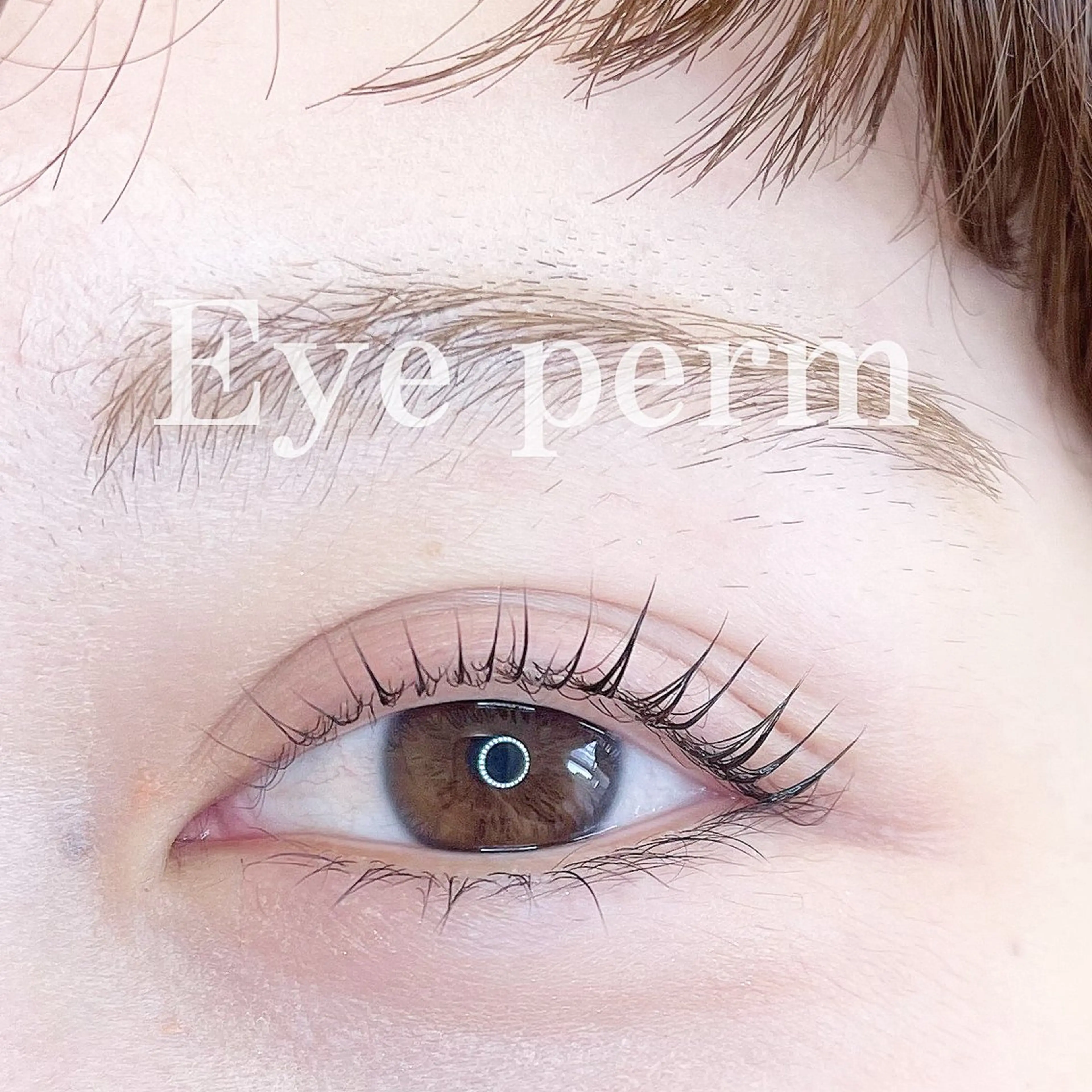 マツエク・マツパ Swallow 広島店のマツエク・マツパデザイン