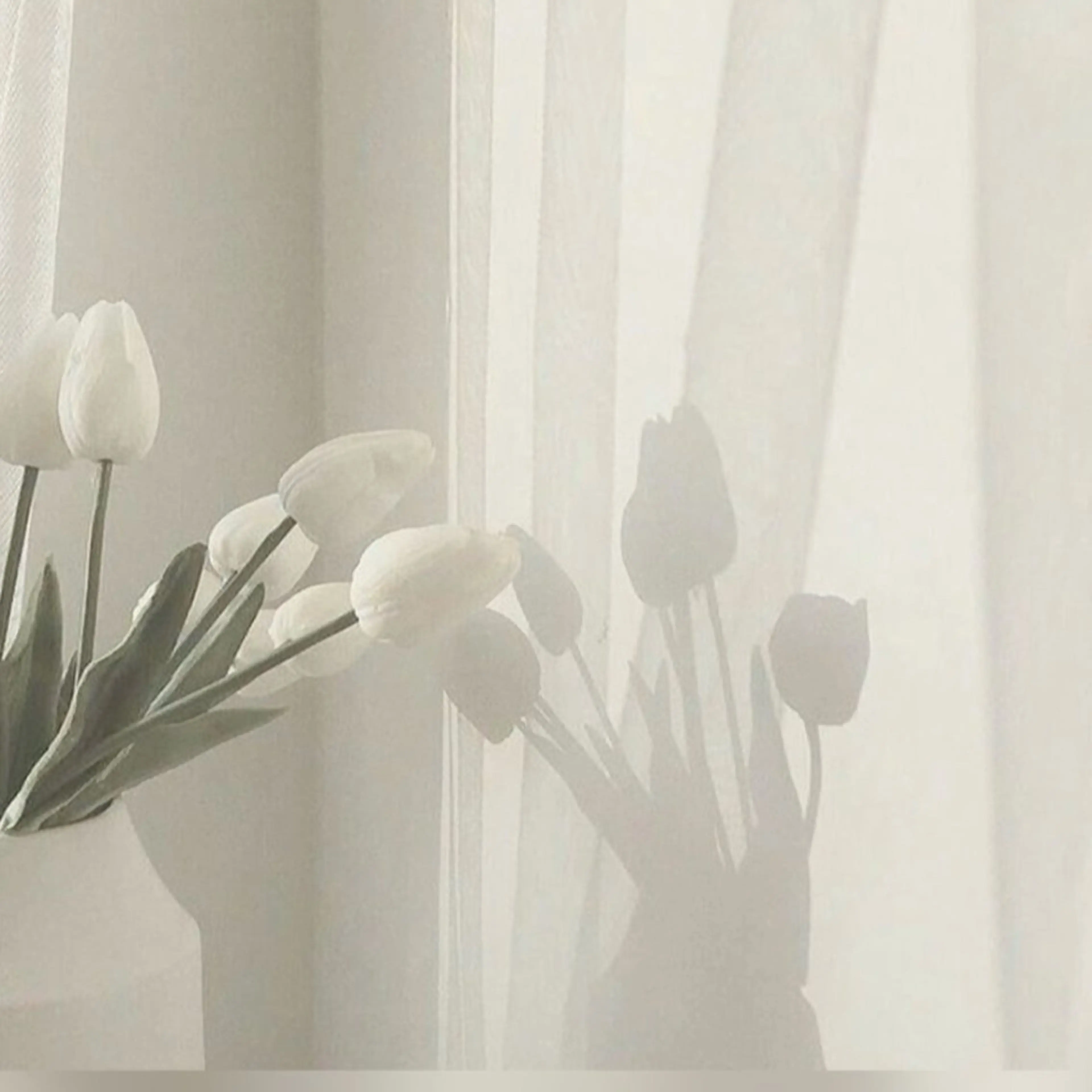 アイブロウ elua京都駅前店所属・elua🫧 京都駅前店のマツエク・マツパデザイン