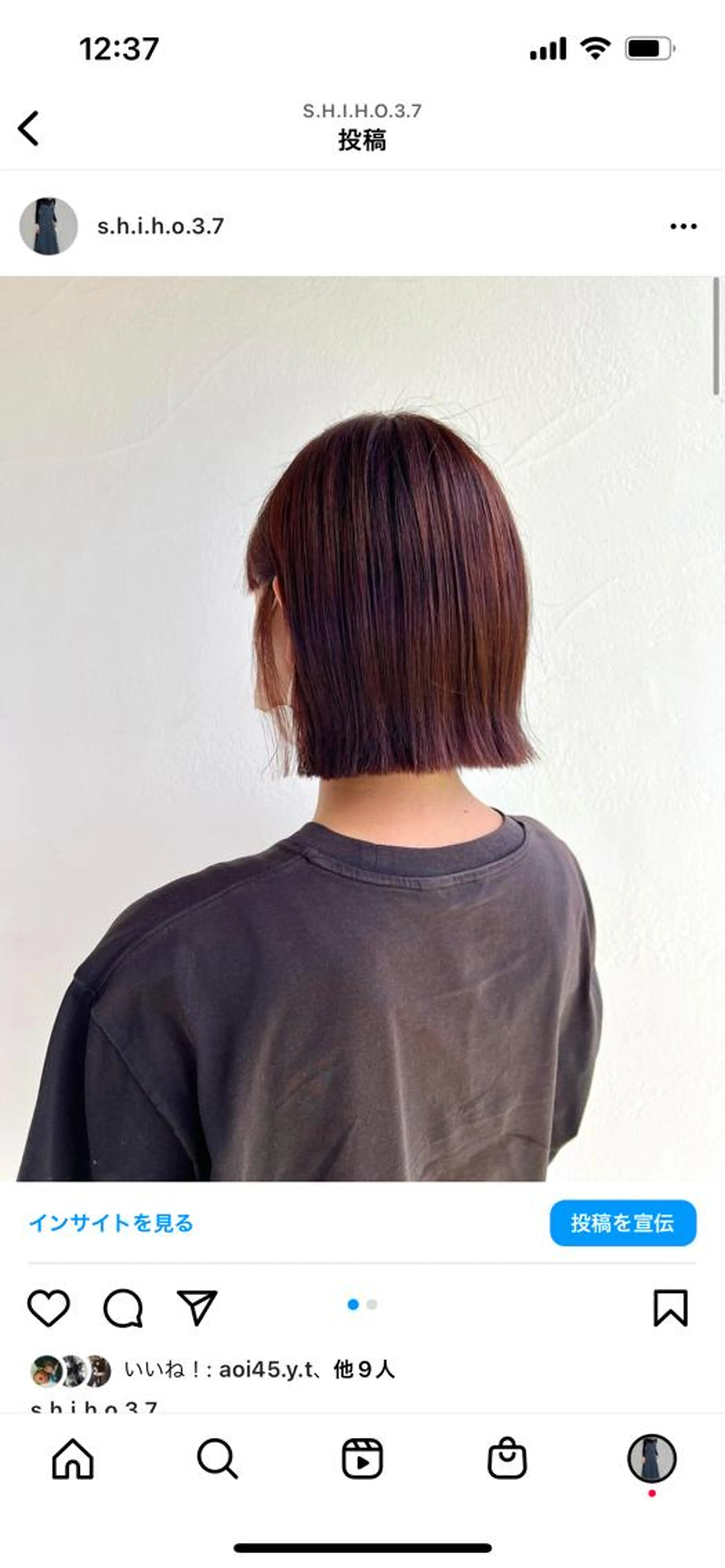 【新規】カット+ワンカラーの写真