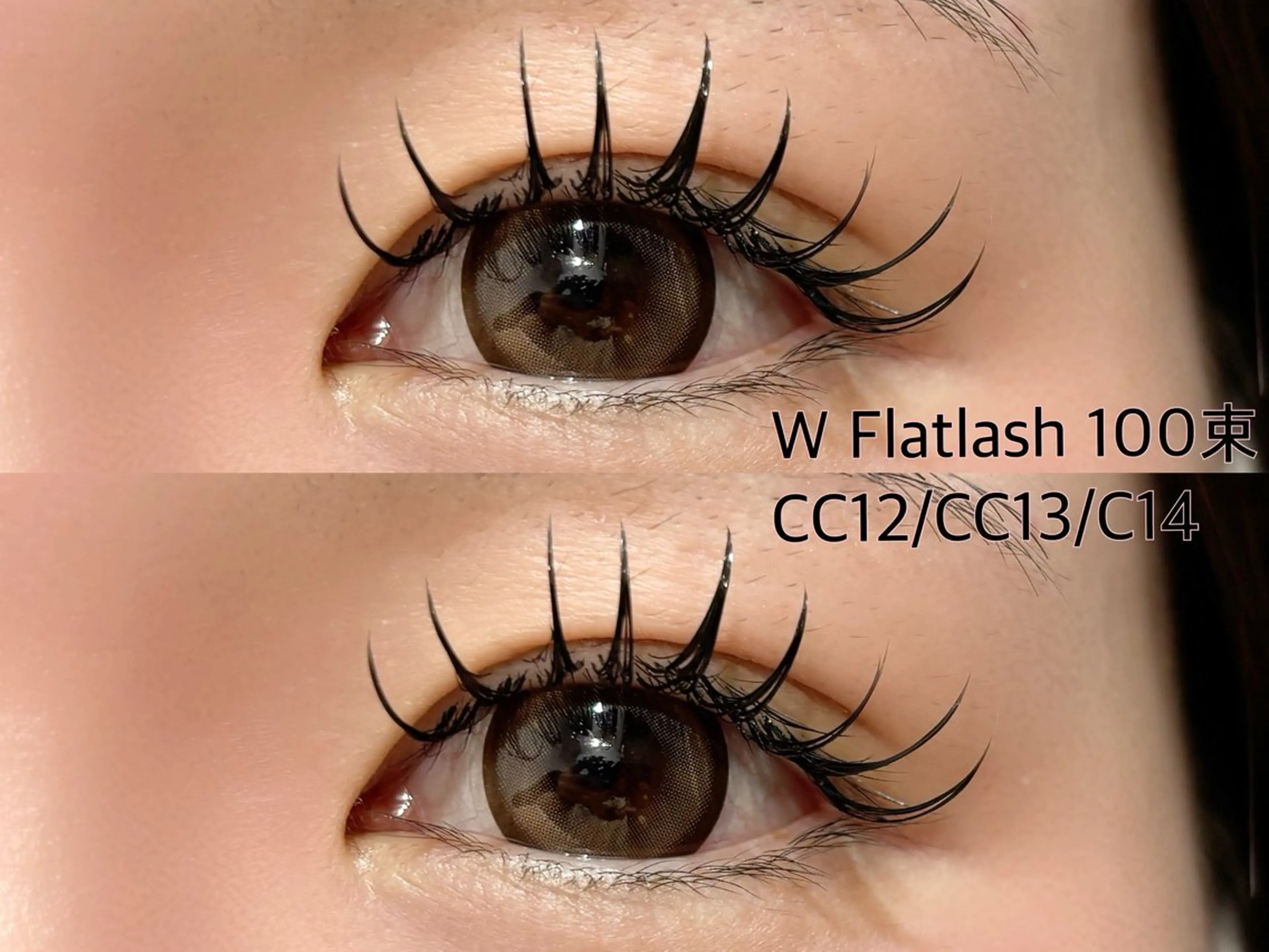 3月限定⭐︎バインドロックorダブルフラット120束　6580円の写真