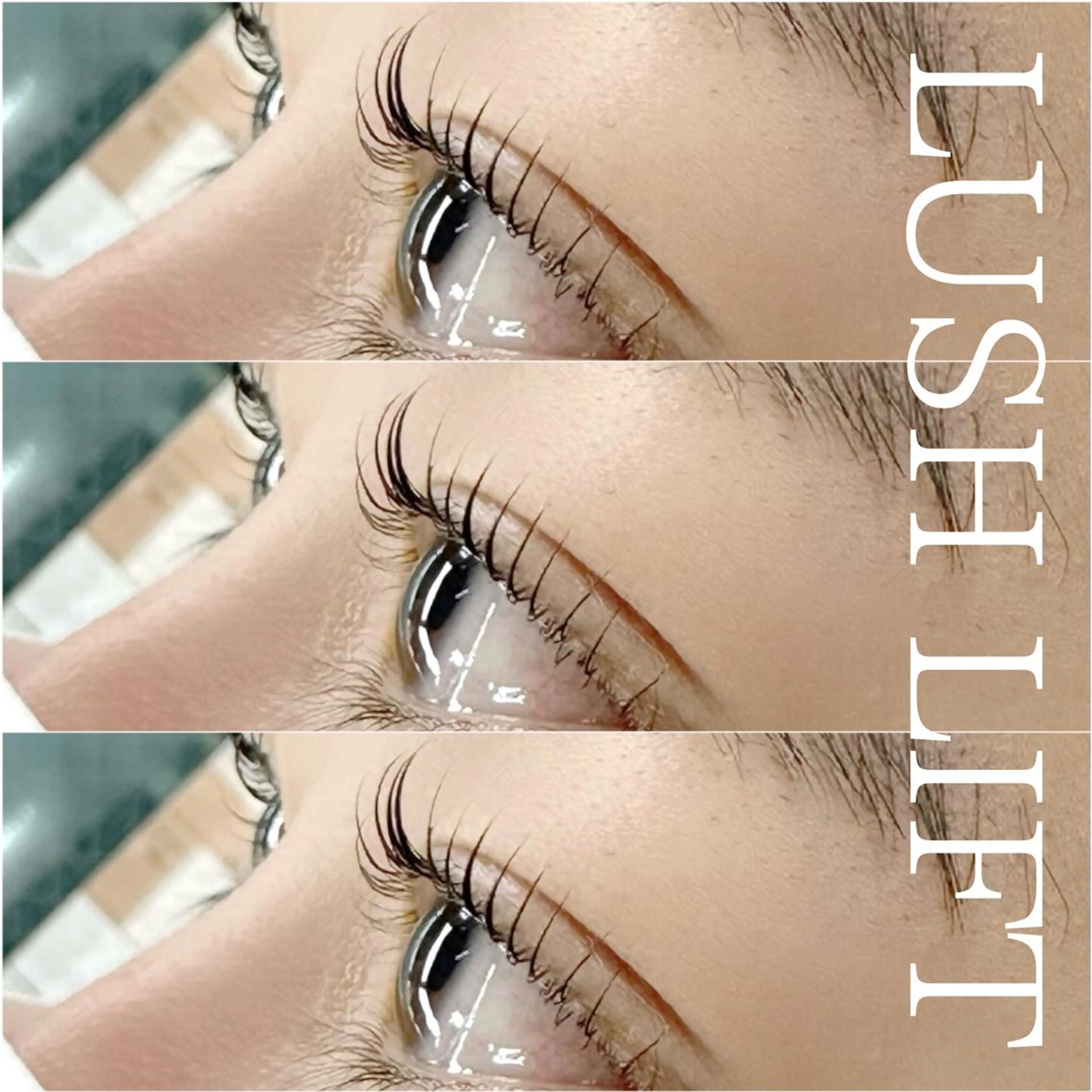 限定価格💍上下ラッシュリフト🌈【学生500円引】の写真