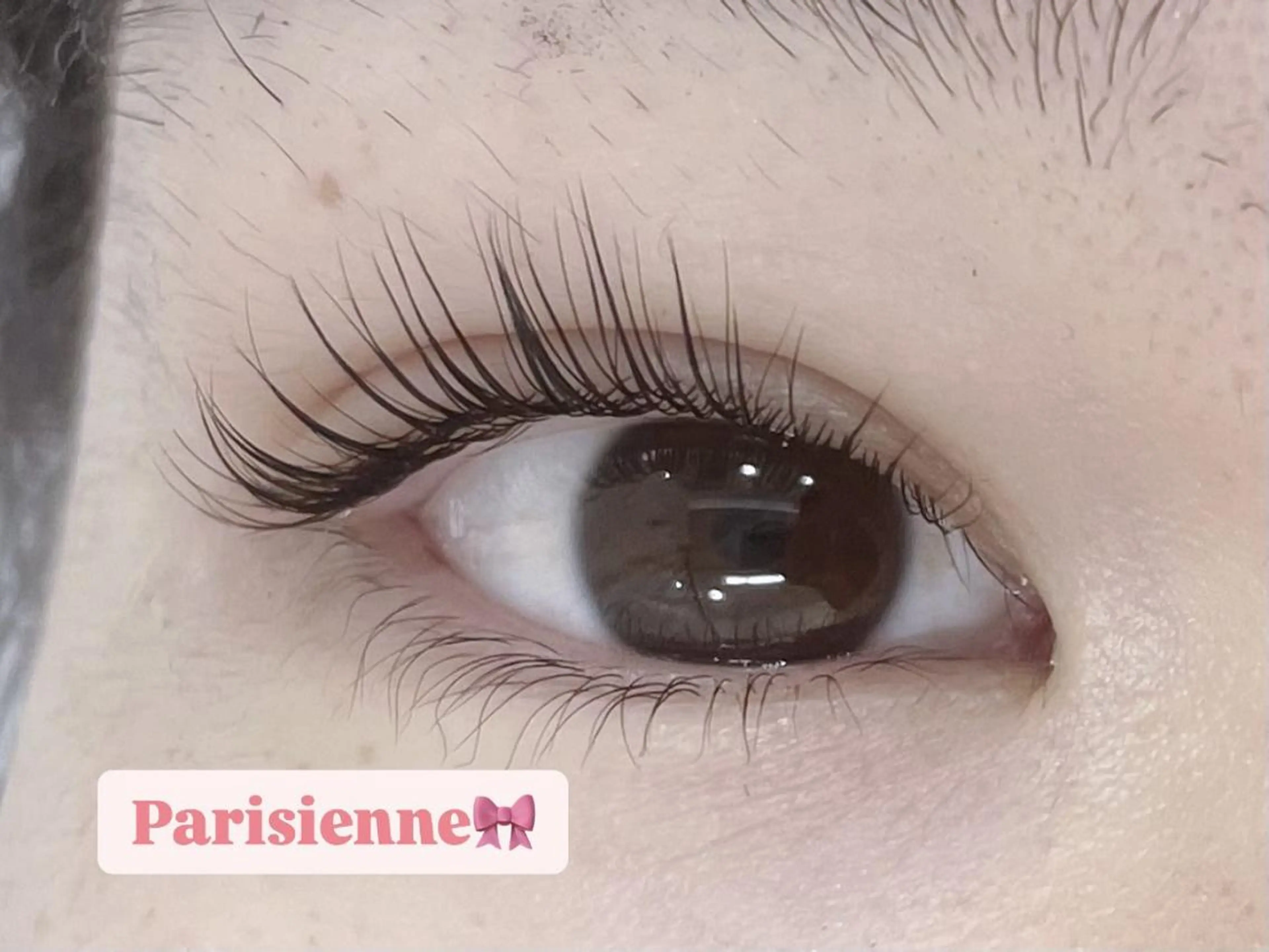 マツエク・マツパ プラスアイ 蒲田西口店のマツエク・マツパデザイン