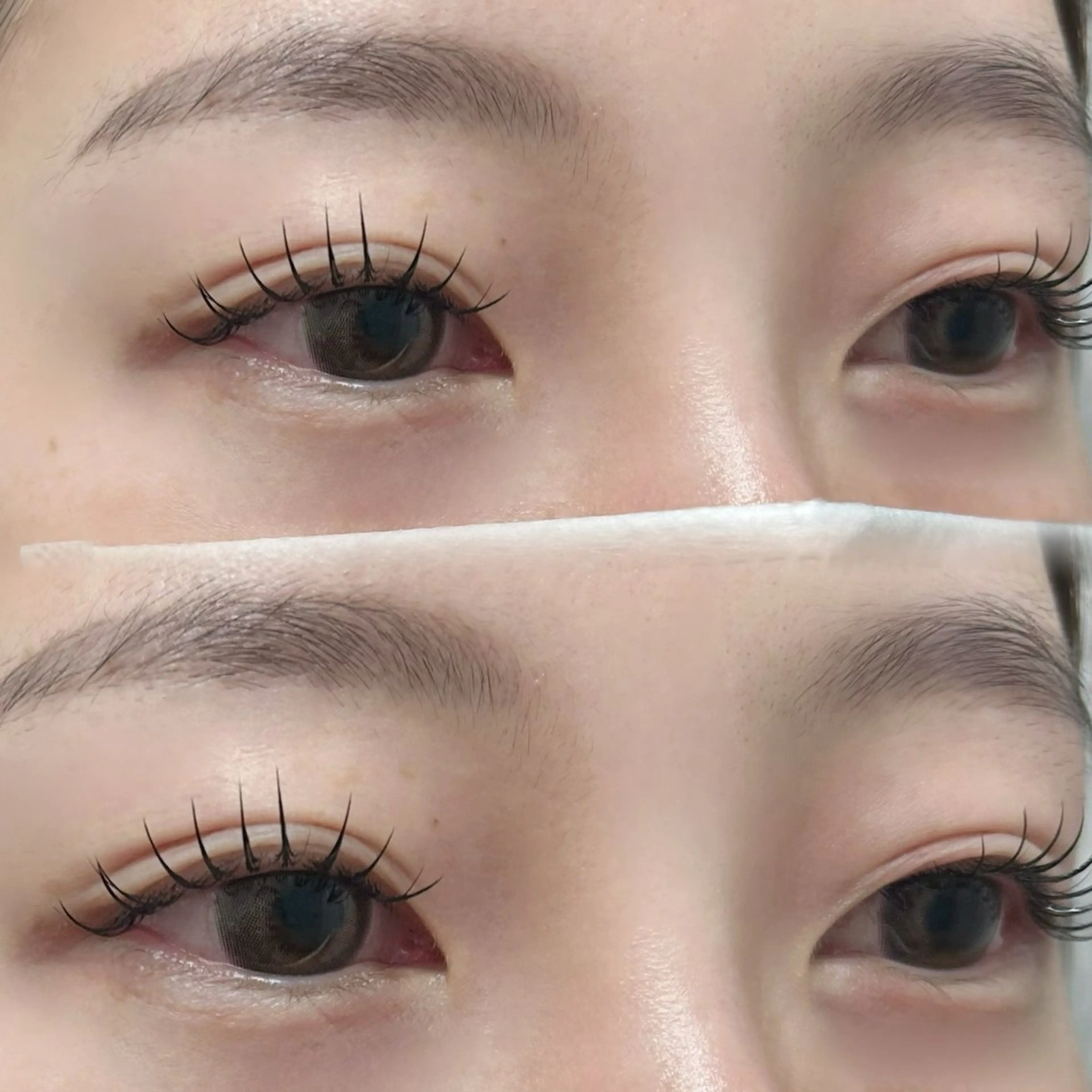 マツエク・マツパ Cカール フラットラッシュ MAQUIA 川島のマツエク・マツパデザイン