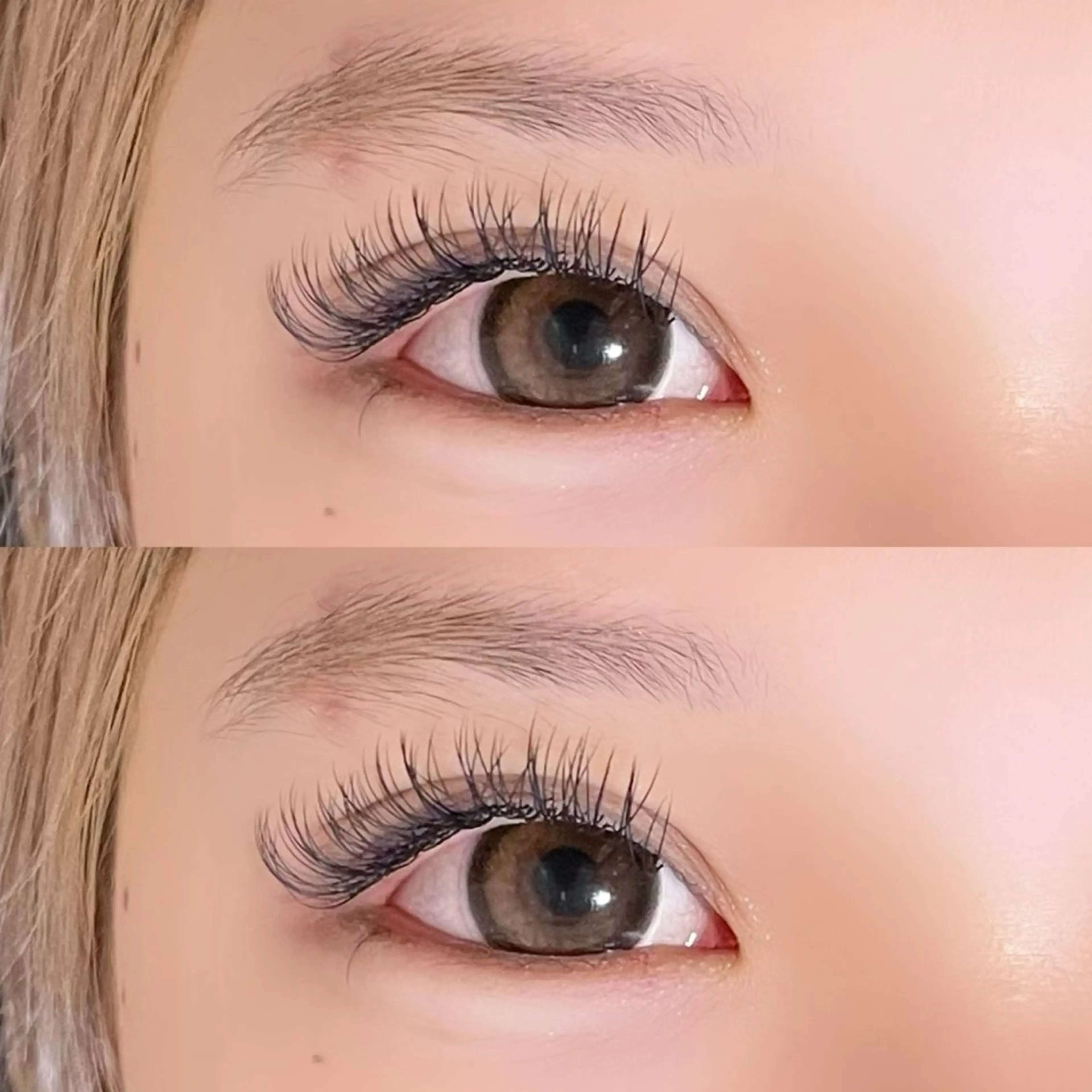 バインドロック300本(100束)の写真