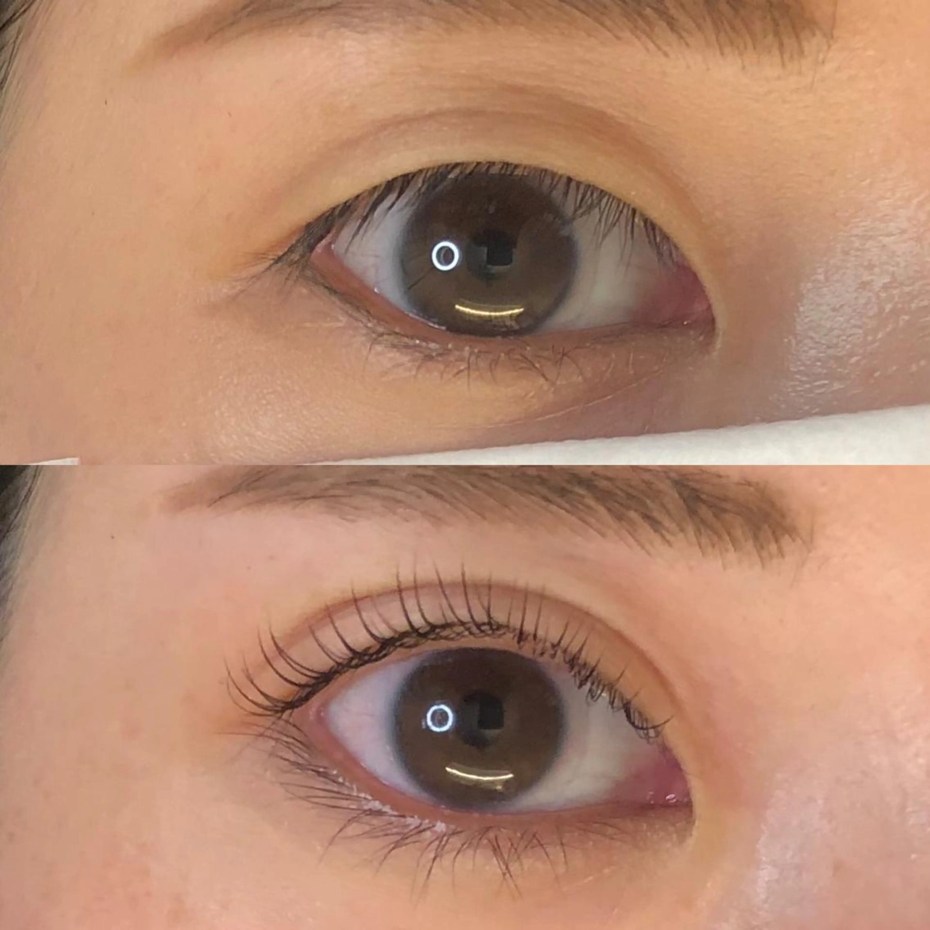 マツエク・マツパ CAMELLIA カメリアのマツエク・マツパデザイン