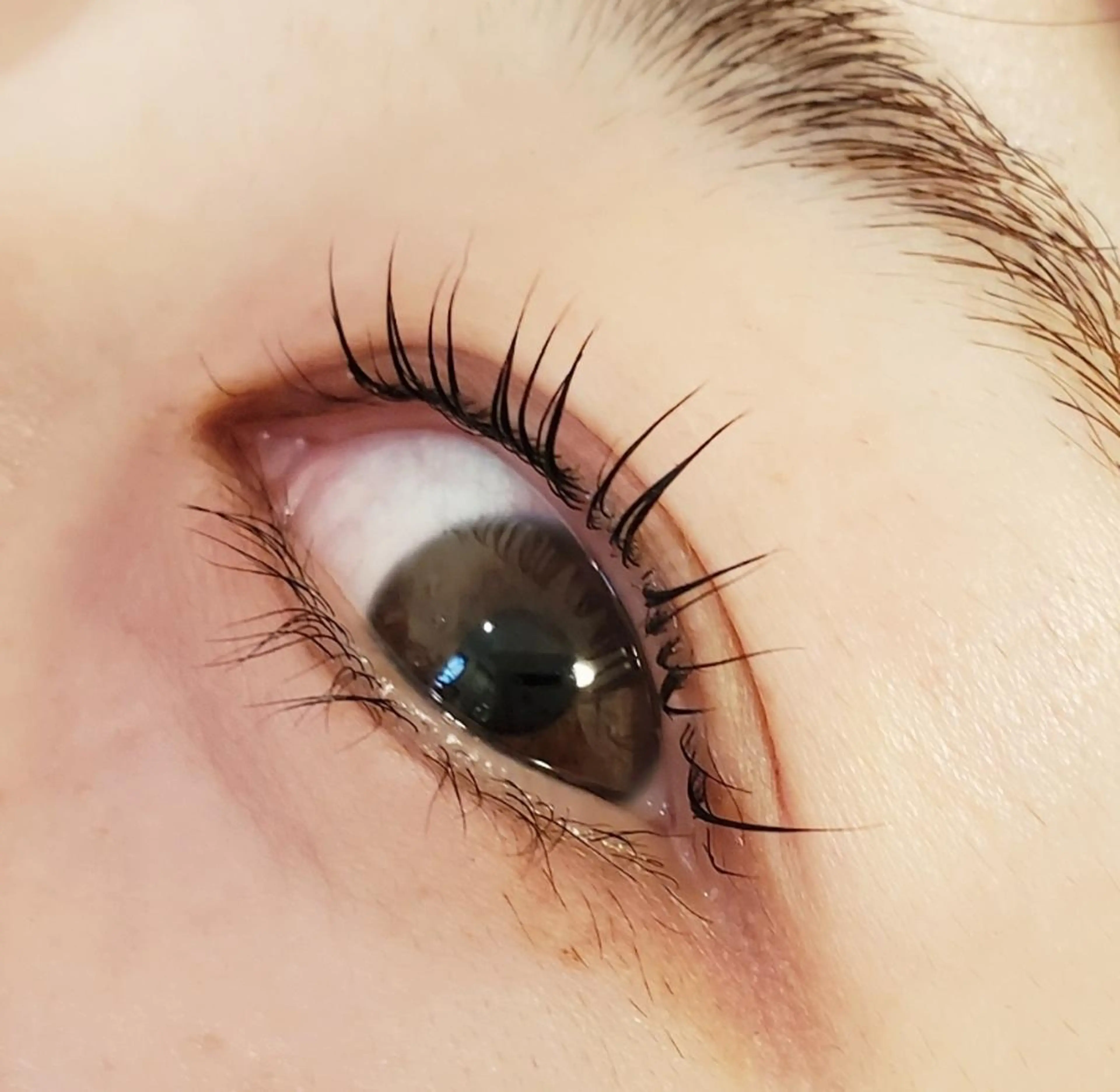 マツエク・マツパ ant_u🌷 arisaのマツエク・マツパデザイン