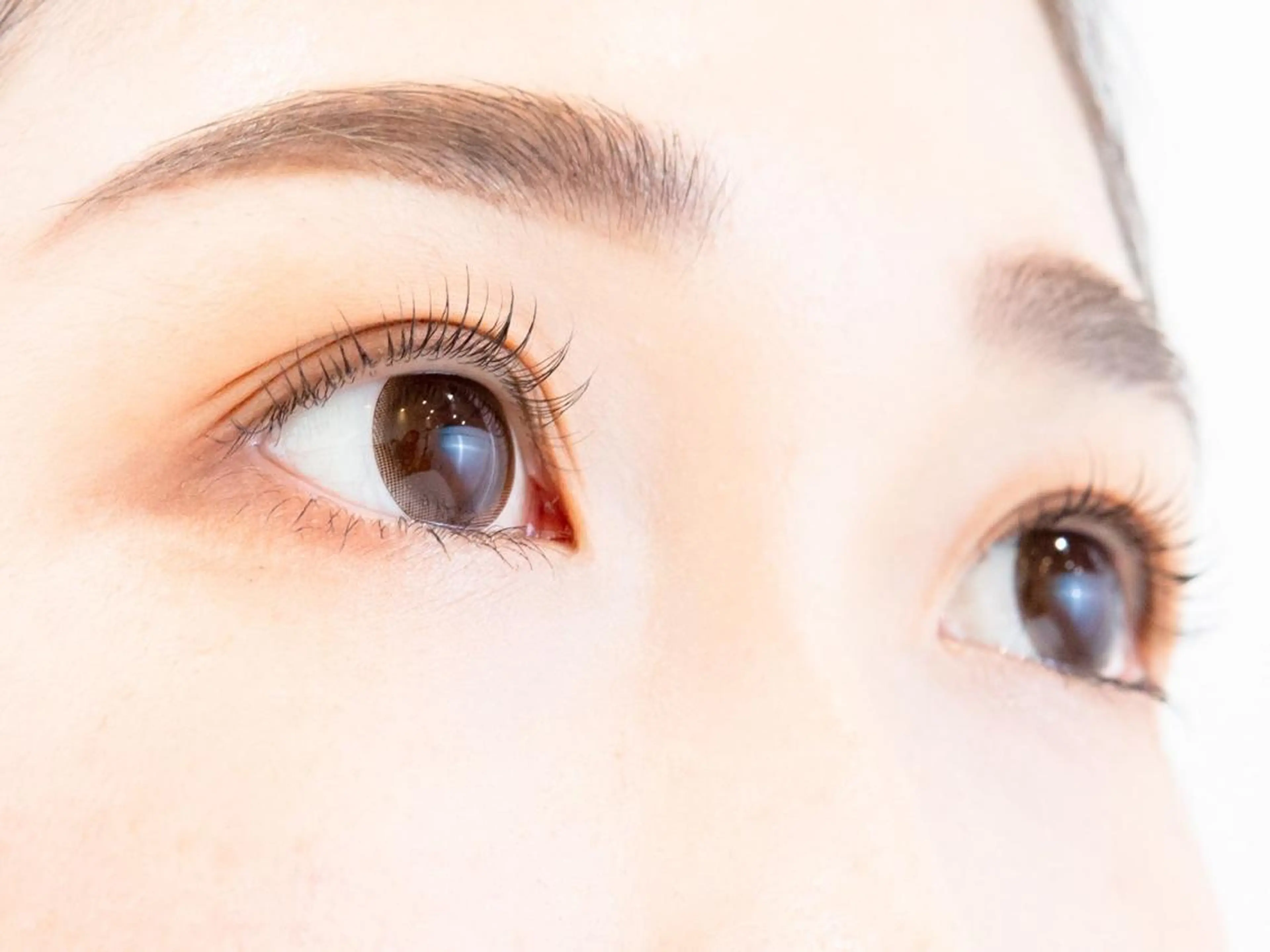 人気メニュー★パリジェンヌラッシュorラッシュリフト＋アイブロウの写真