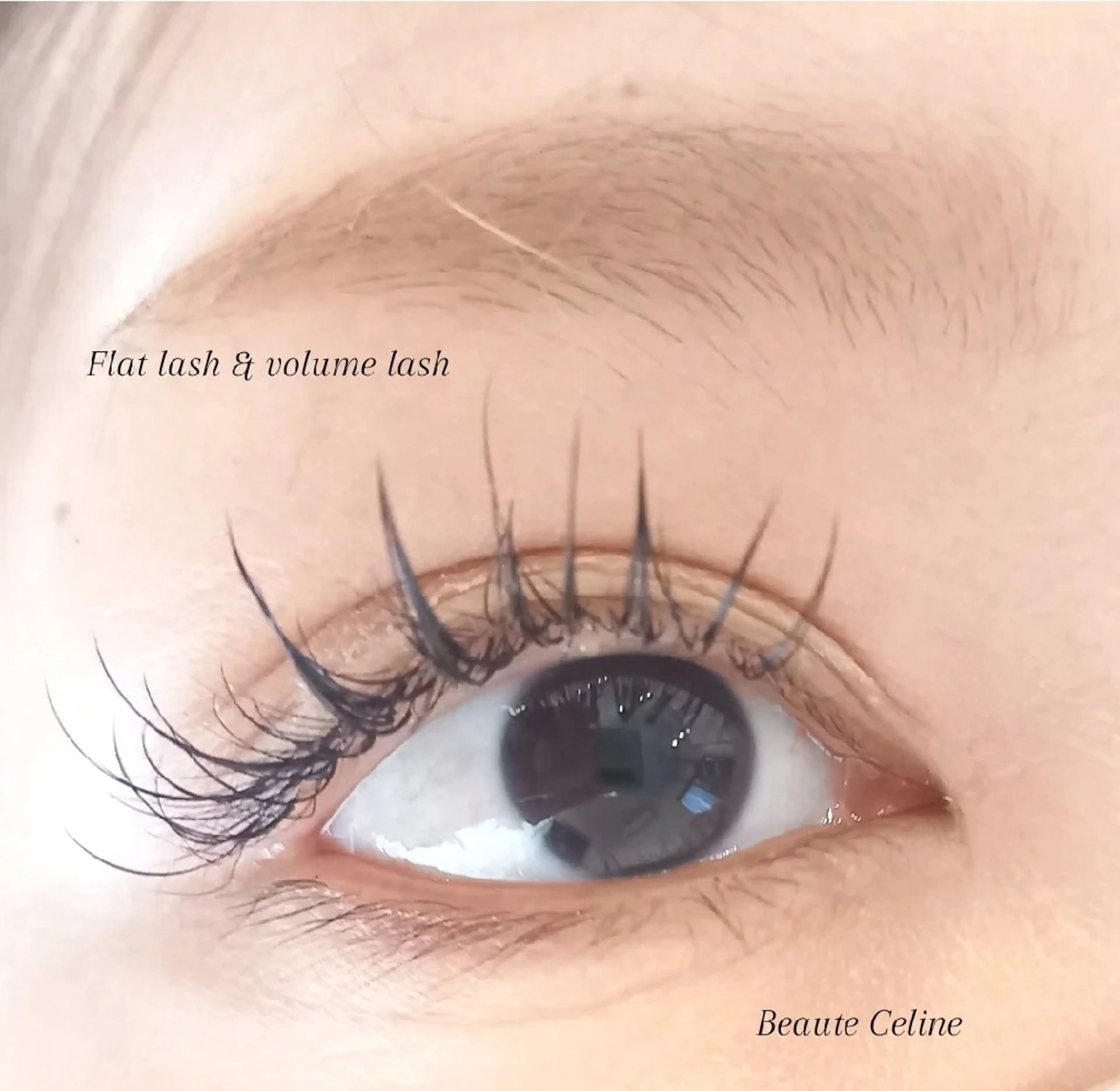 マツエク・マツパ フラットラッシュ ボリュームラッシュ ワンホンマツエク マツエク beaute.celine所属・8時~✨beaute Celine🌛🌹のマツエク・マツパデザイン