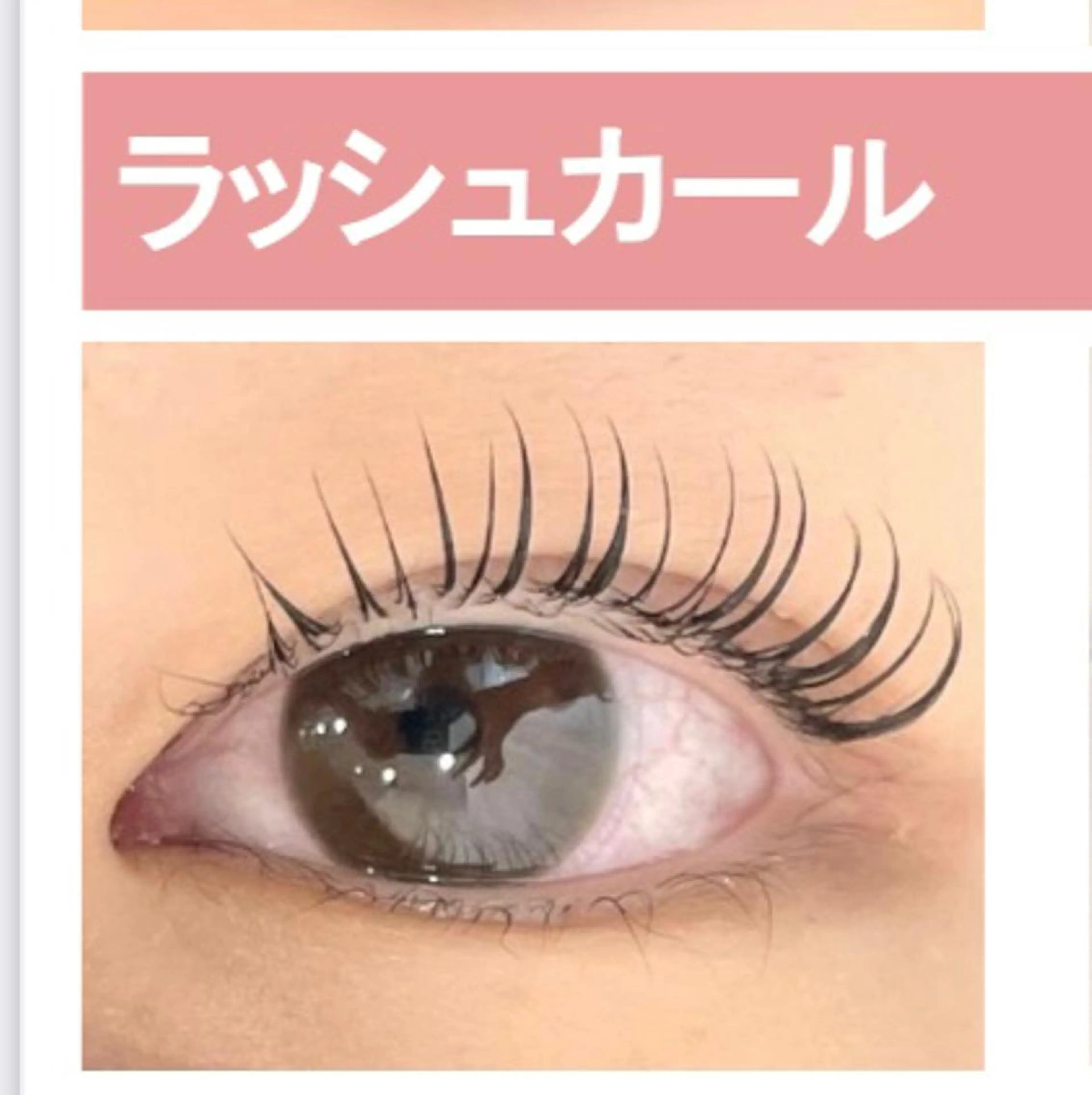 ラッシュカールの写真