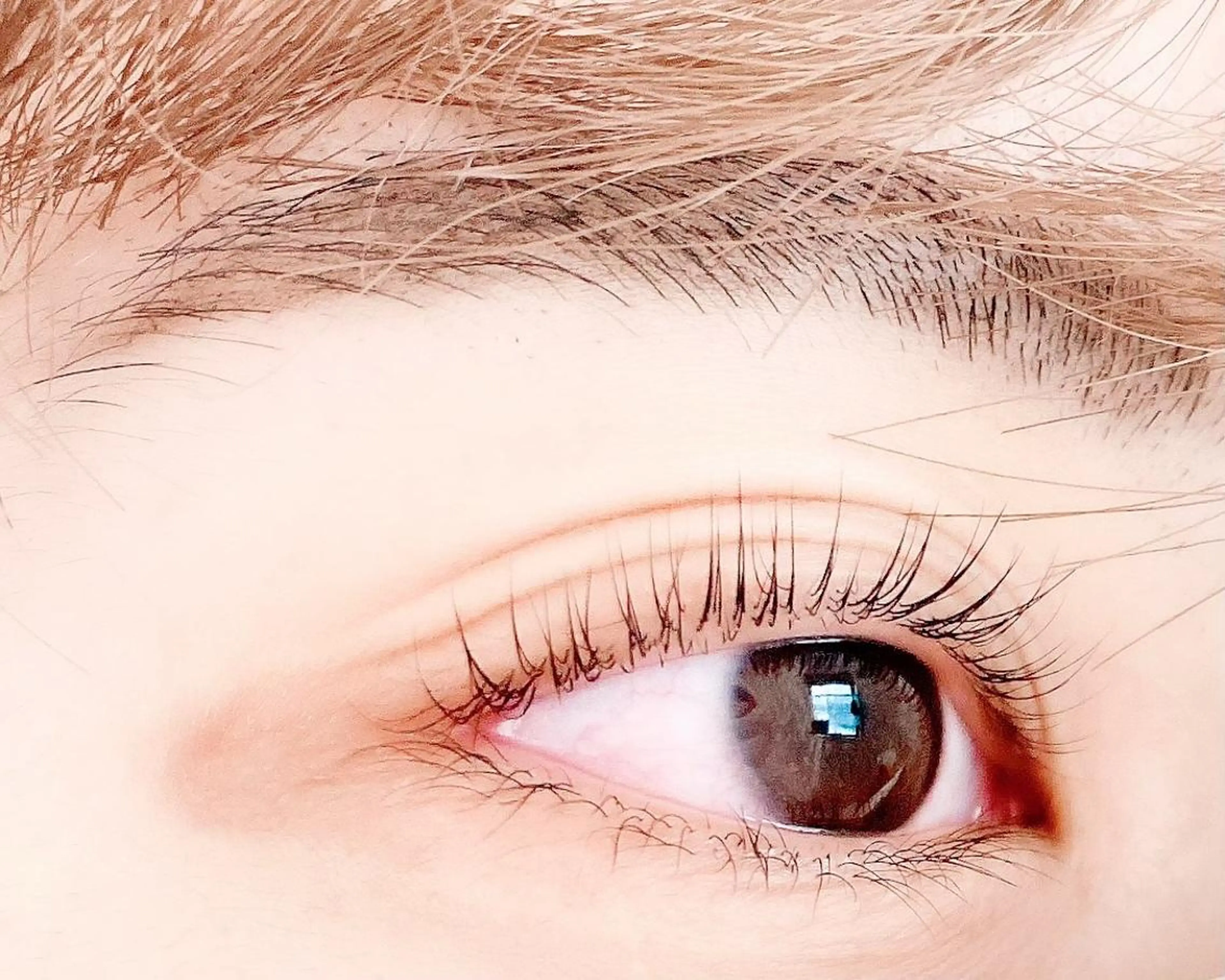 次世代まつげパーマ✨ケラチンラッシュリフト〈上〉コーティング付♪の写真