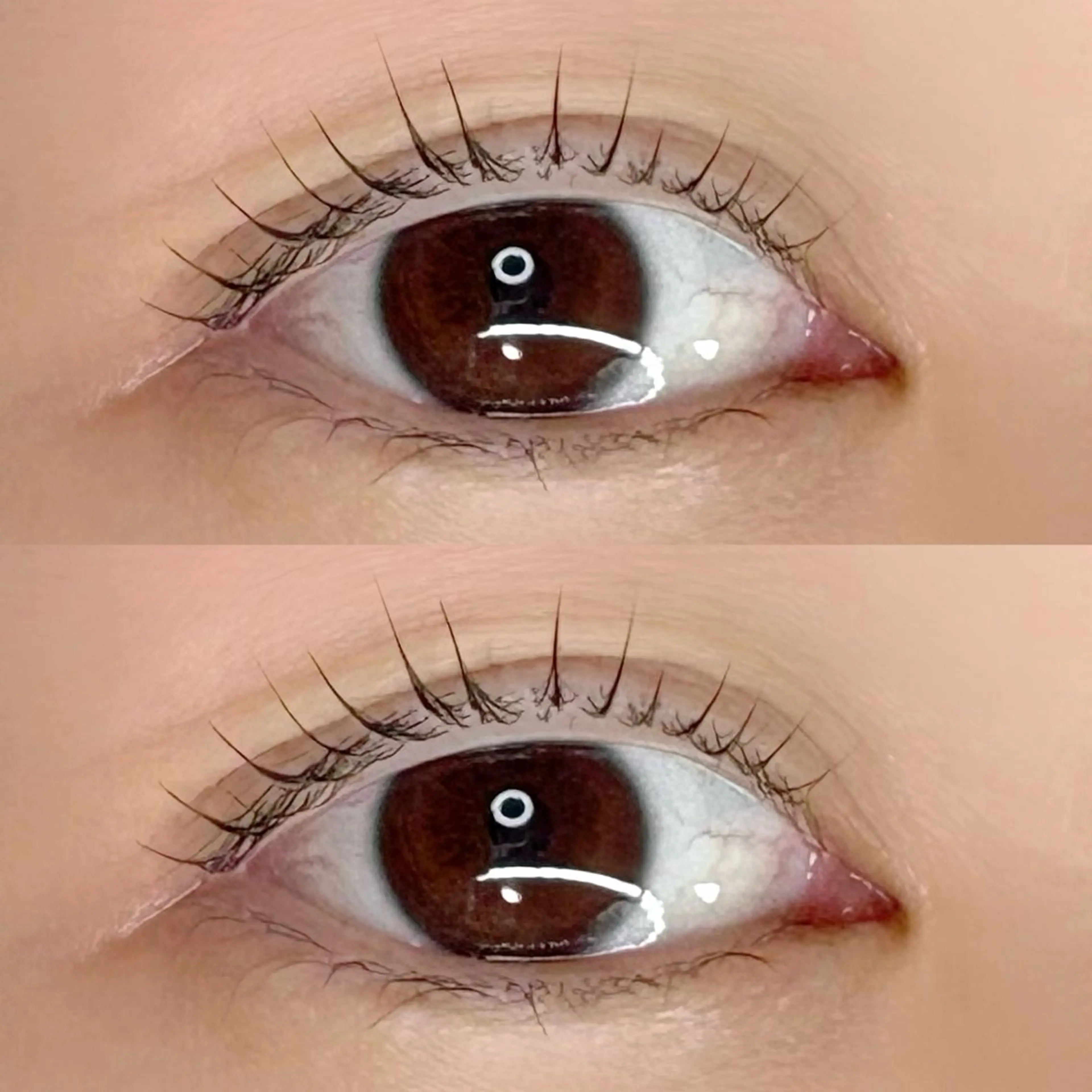 マツエク・マツパ 一重×まつ毛パーマ マツパ Chisato🤍池 袋/マツパ/マツエクのマツエク・マツパデザイン