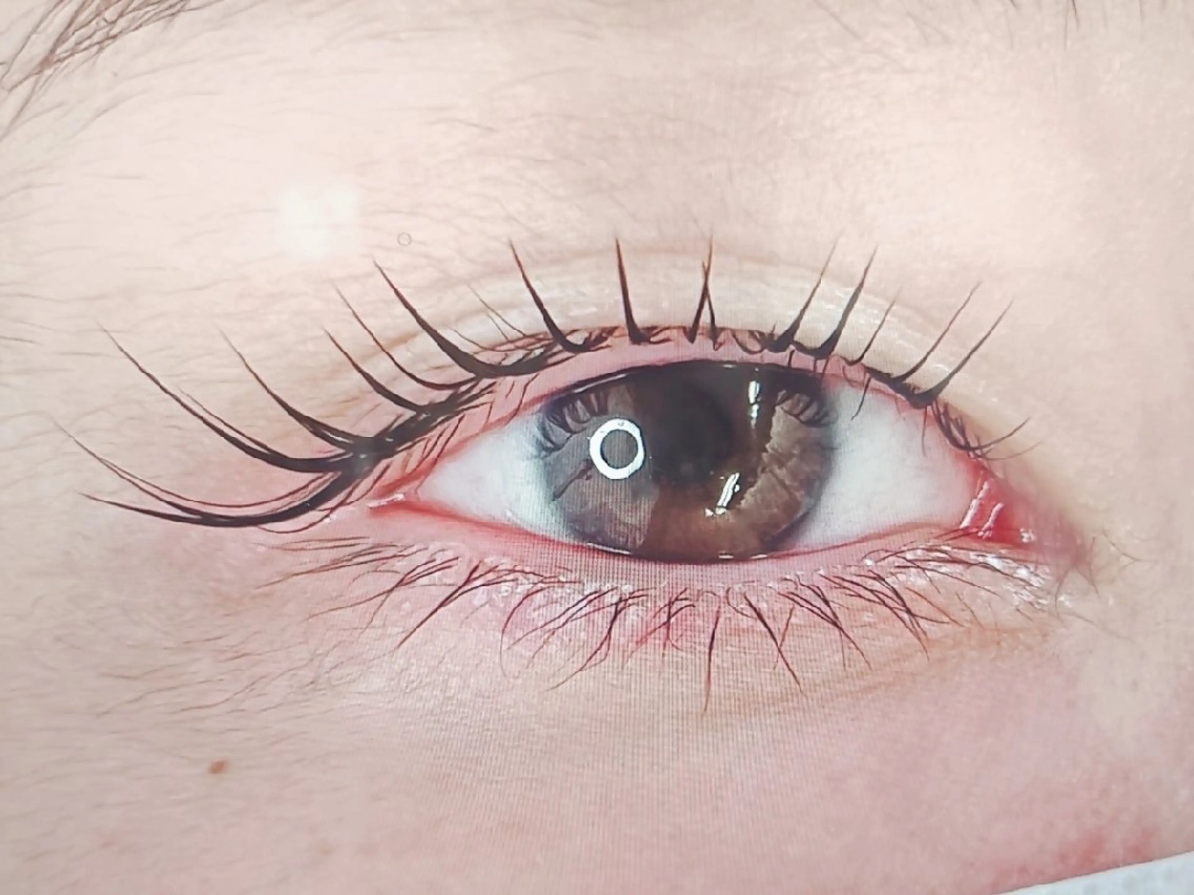 💎メーテルラッシュリフト💎【目尻流し】の写真