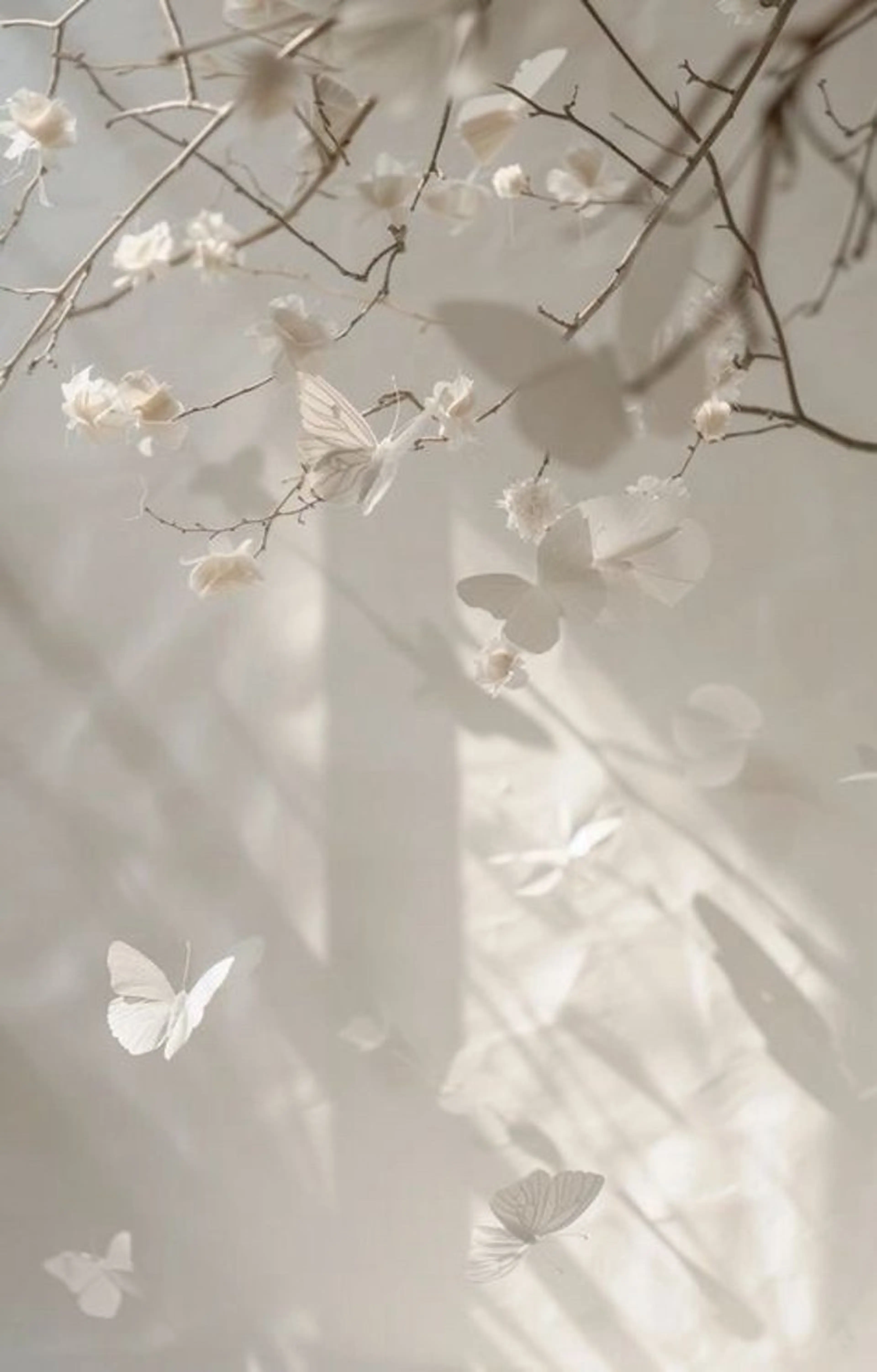 マツエク・マツパ マツエク 上村ひかる🫧束感 パリエク/マツパのマツエク・マツパデザイン