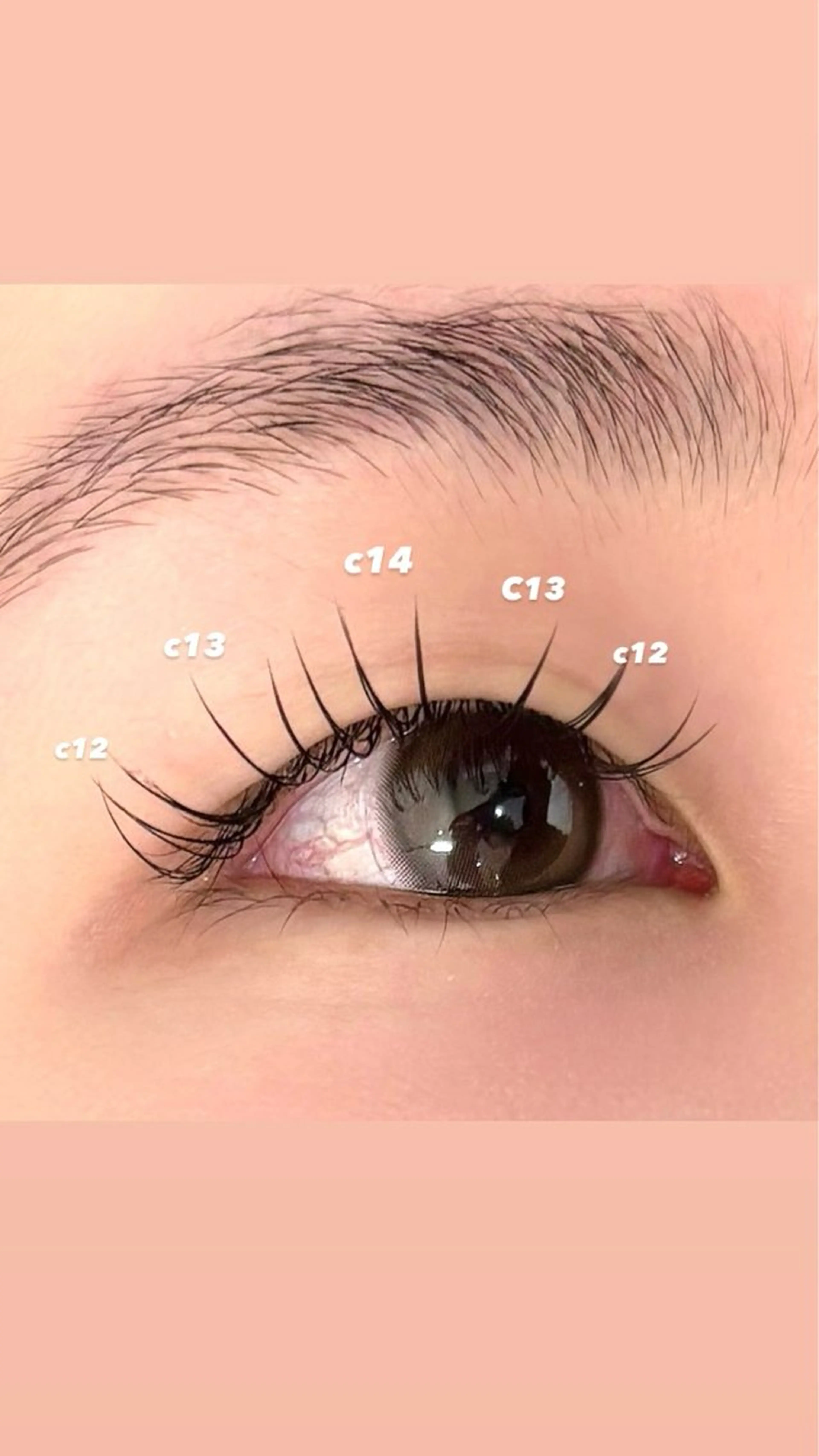 マツエク・マツパ フラットラッシュ Ayumi.dre 🐹H〈2階〉のマツエク・マツパデザイン