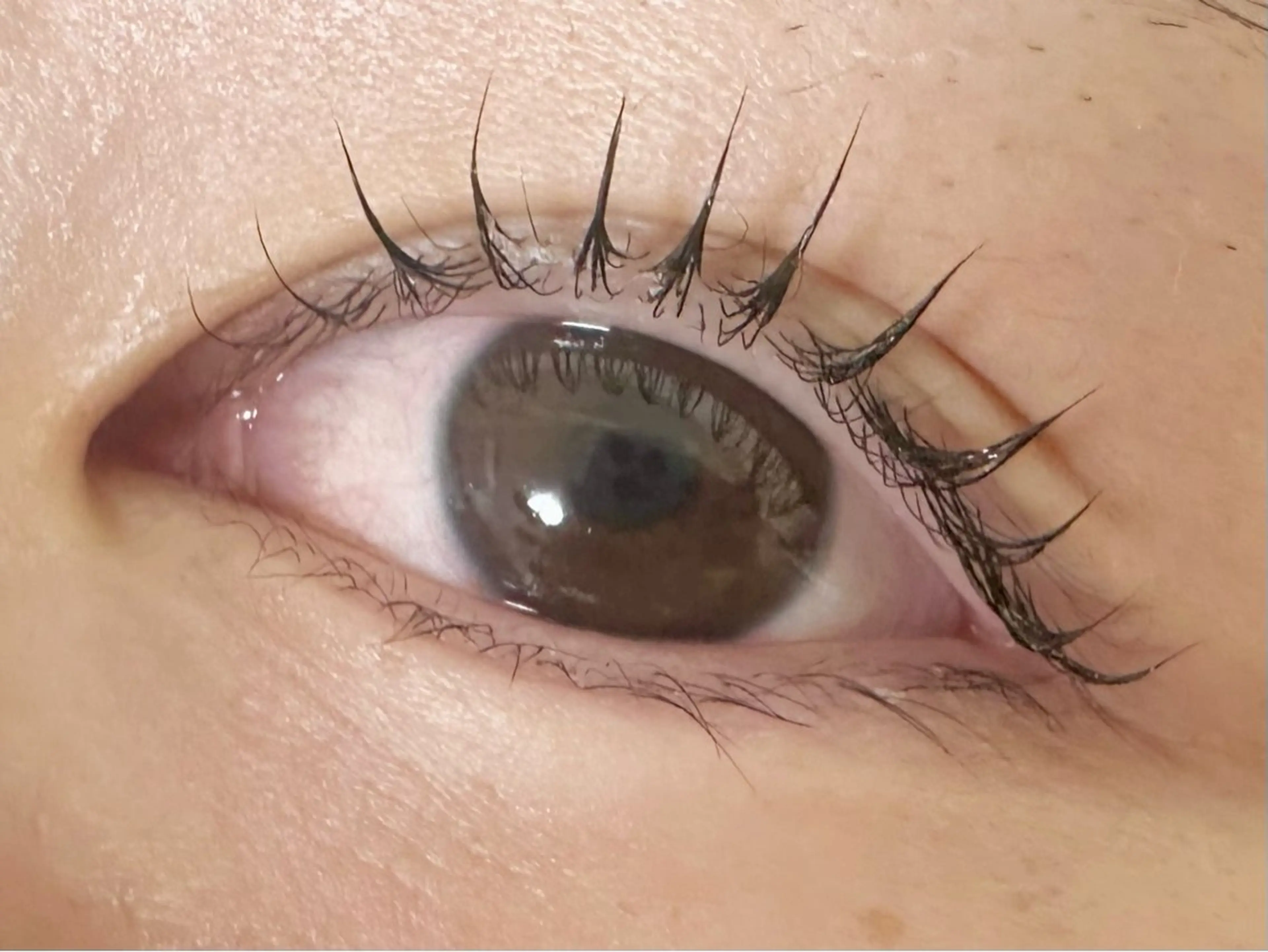 パーマ S+ Studioのマツエク・マツパデザイン