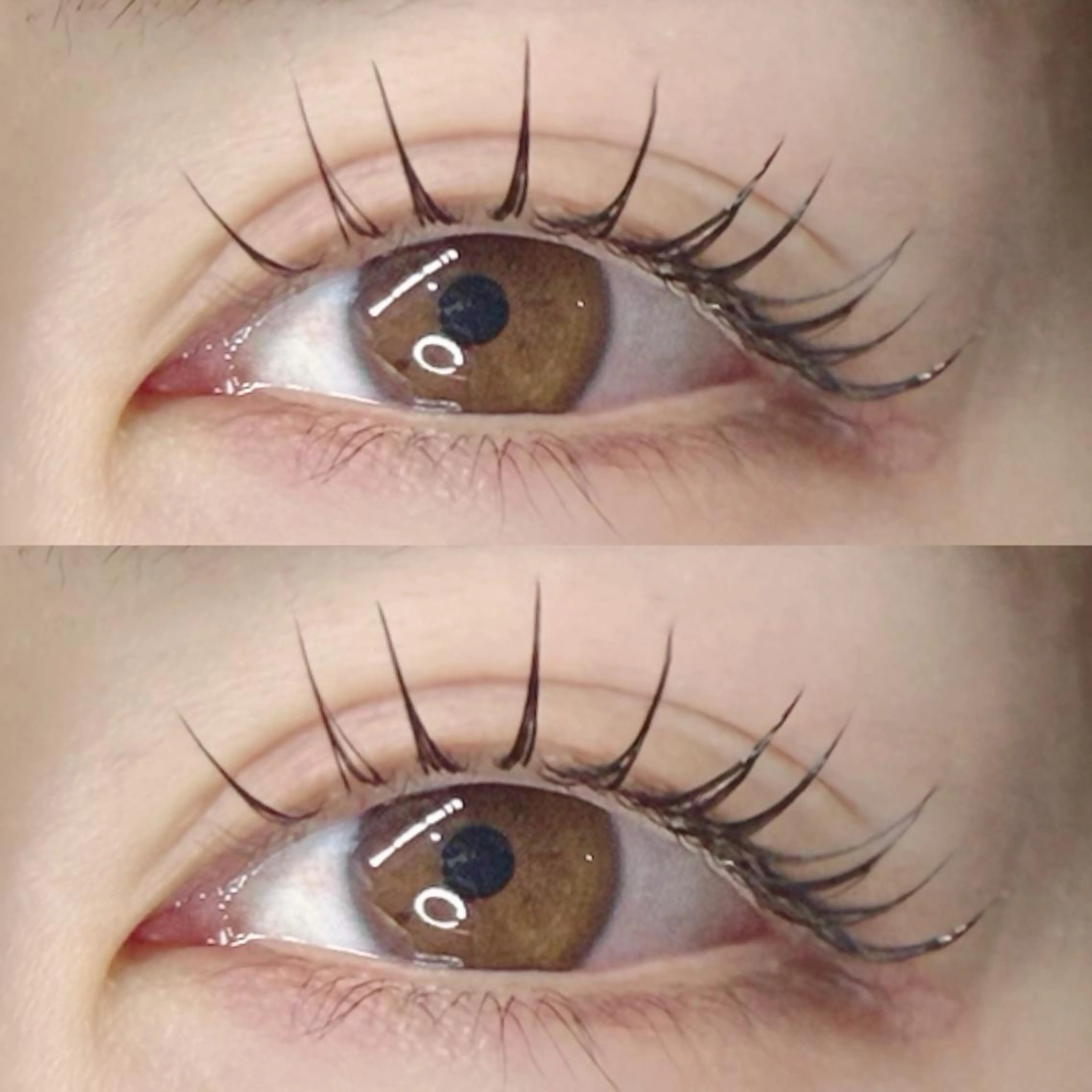 エクステ&パーマ❕【アンドヘルシー】”韓国マツエク” 🎀エクステ後パーマをかける最新技術🏹の写真