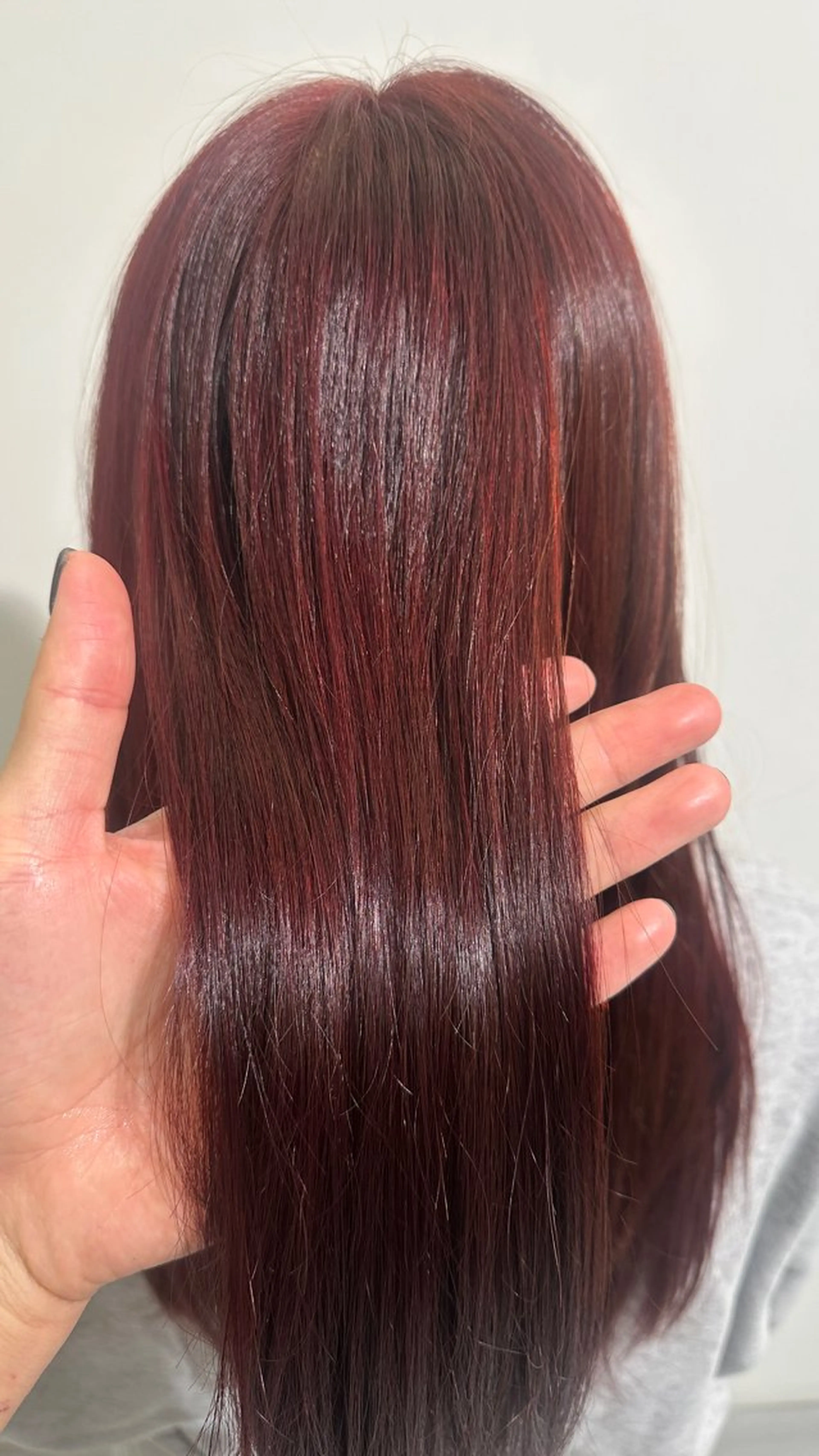 カラー ✞カラーモデル募集 ✞/侑門🦋ᩚのヘアスタイル