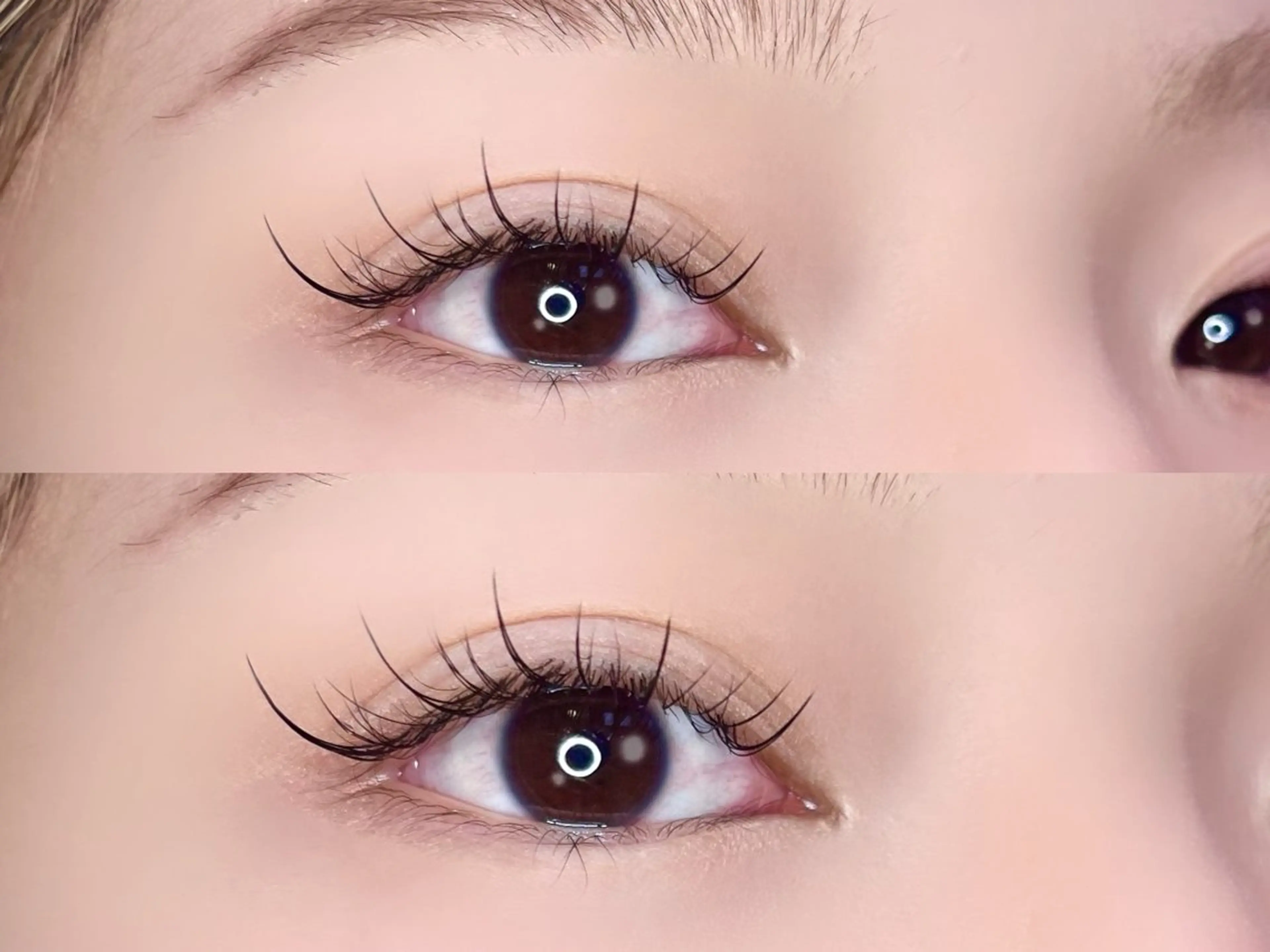 ワンホンエクステ120本💎コーティング仕上げ付き✨️【オフあり可】の写真