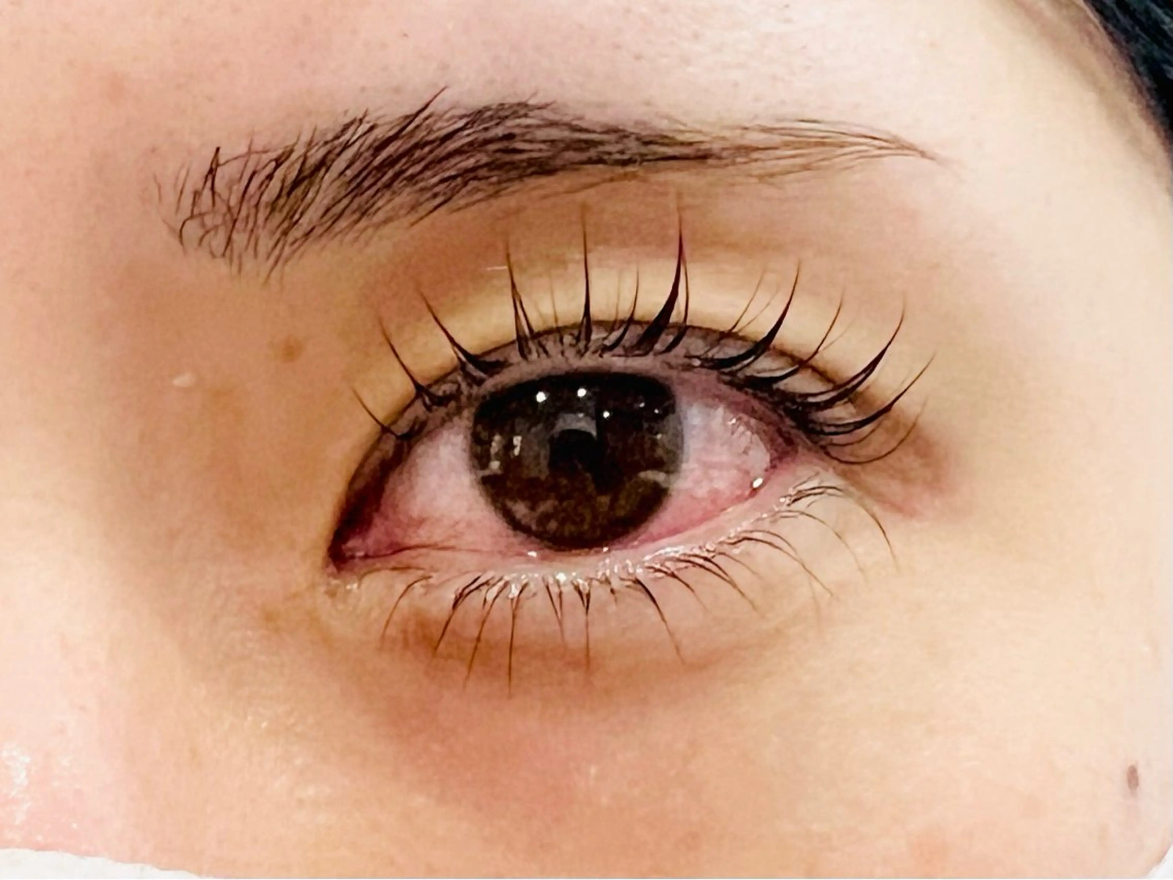 マツエク・マツパ まつげパーマ 下まつげエクステ GRANCIEUX 沼田のヘアスタイル