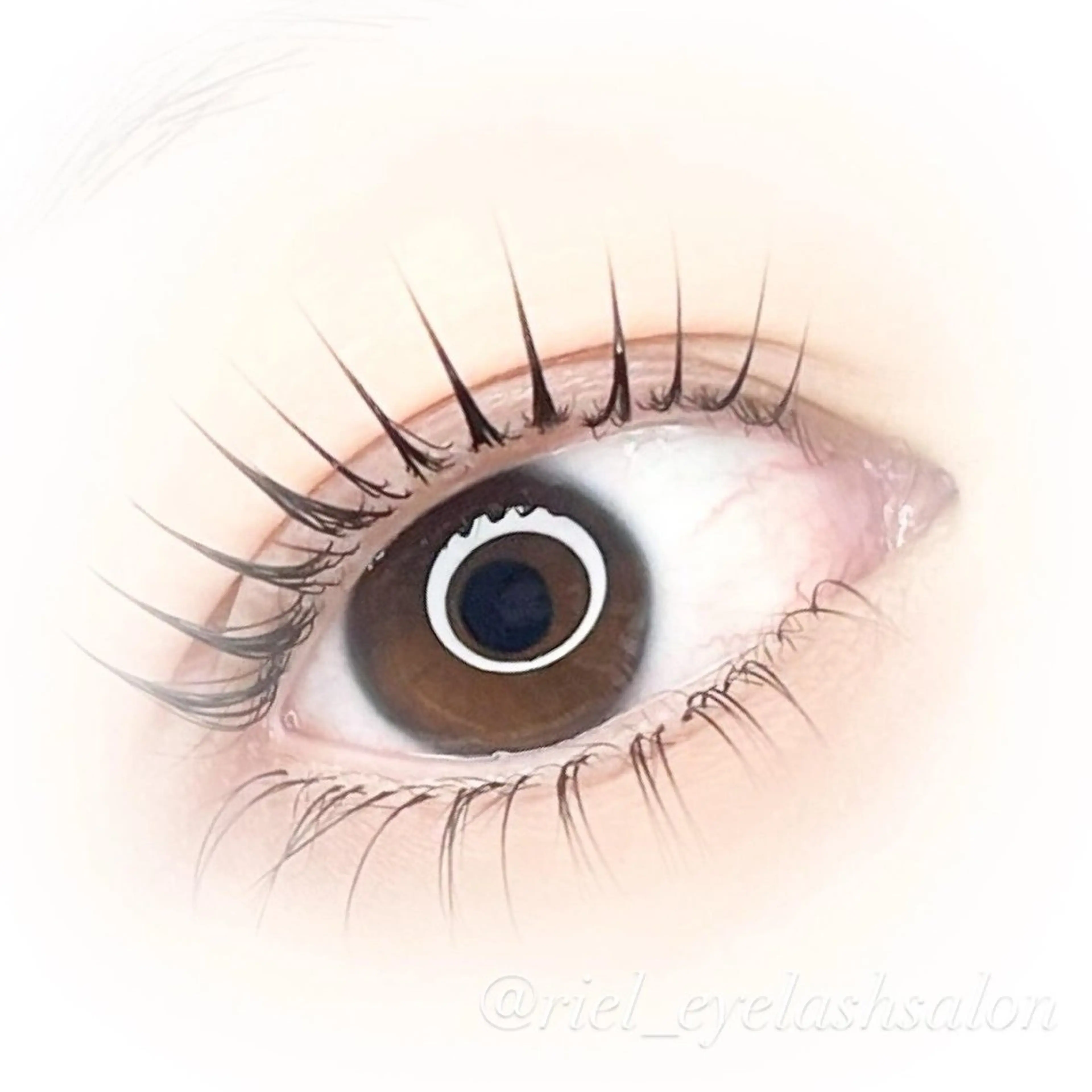 【自然に華やかさUP】上下SET♪パリジェンヌorまつげパーマ10,500円⇒8,500円の写真