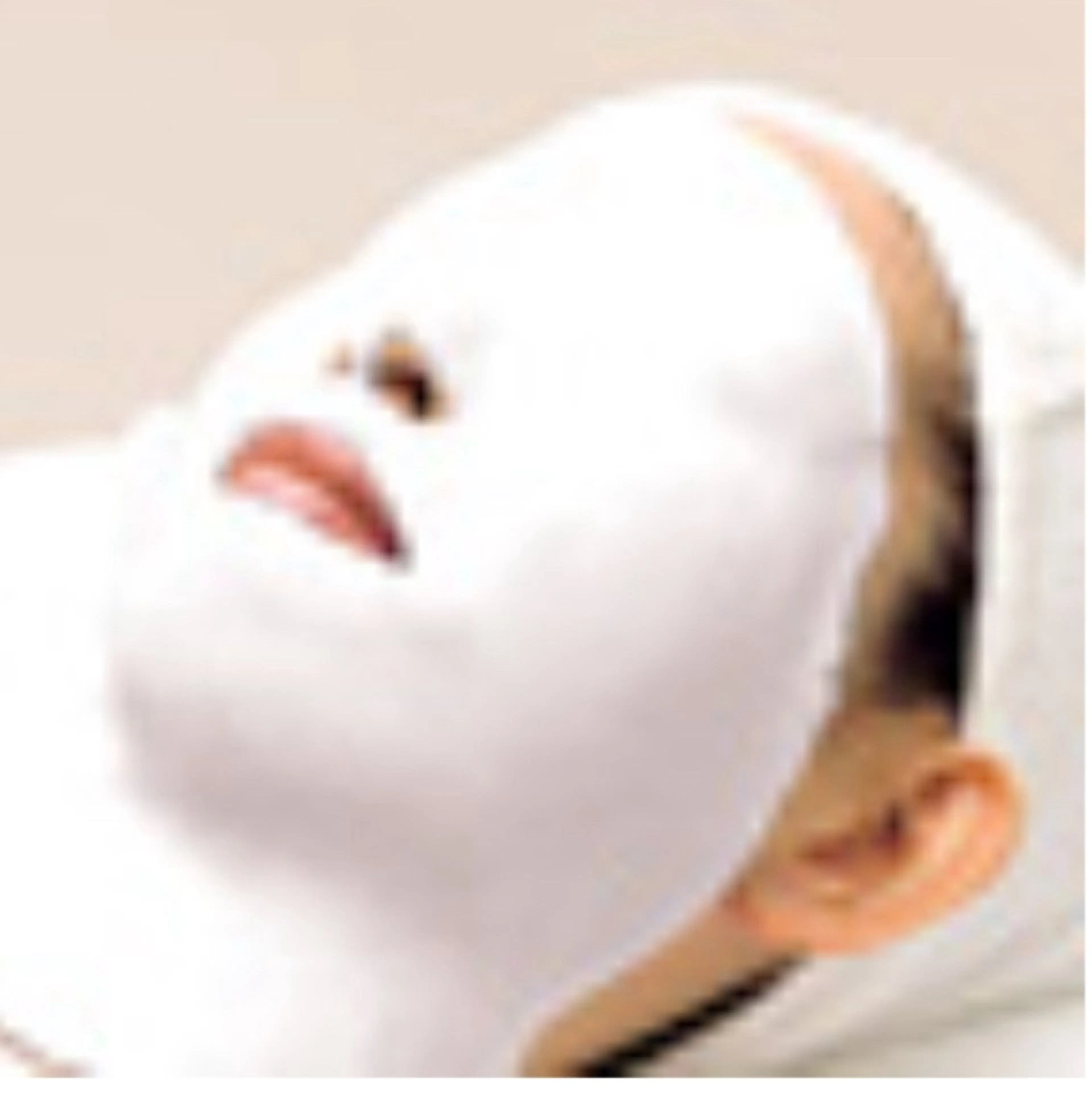 エステ リラク メナードフェイシャルサロン ボヌールシュプレム所属・谷口 仁美のその他イメージ