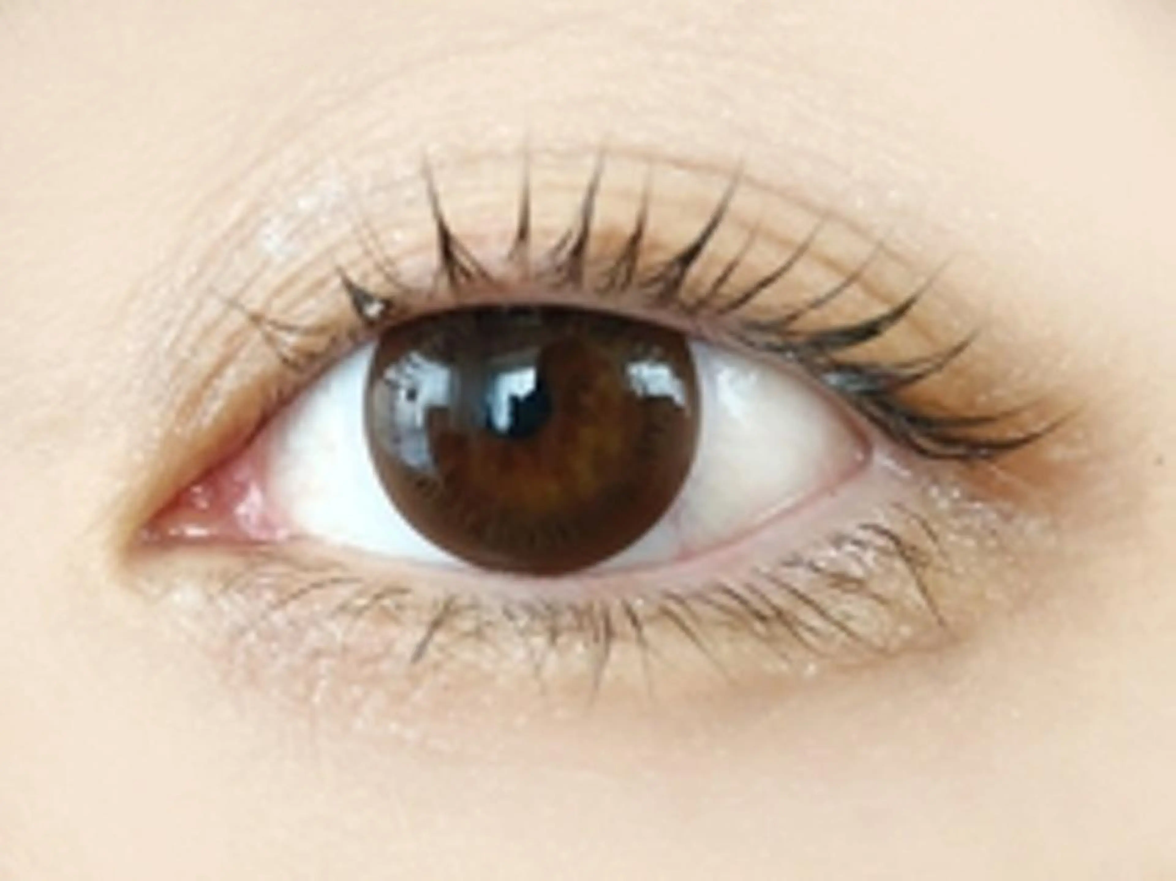 マツエク・マツパ ナチュラル アイラッシュサロン 🎀ミラのマツエク・マツパデザイン