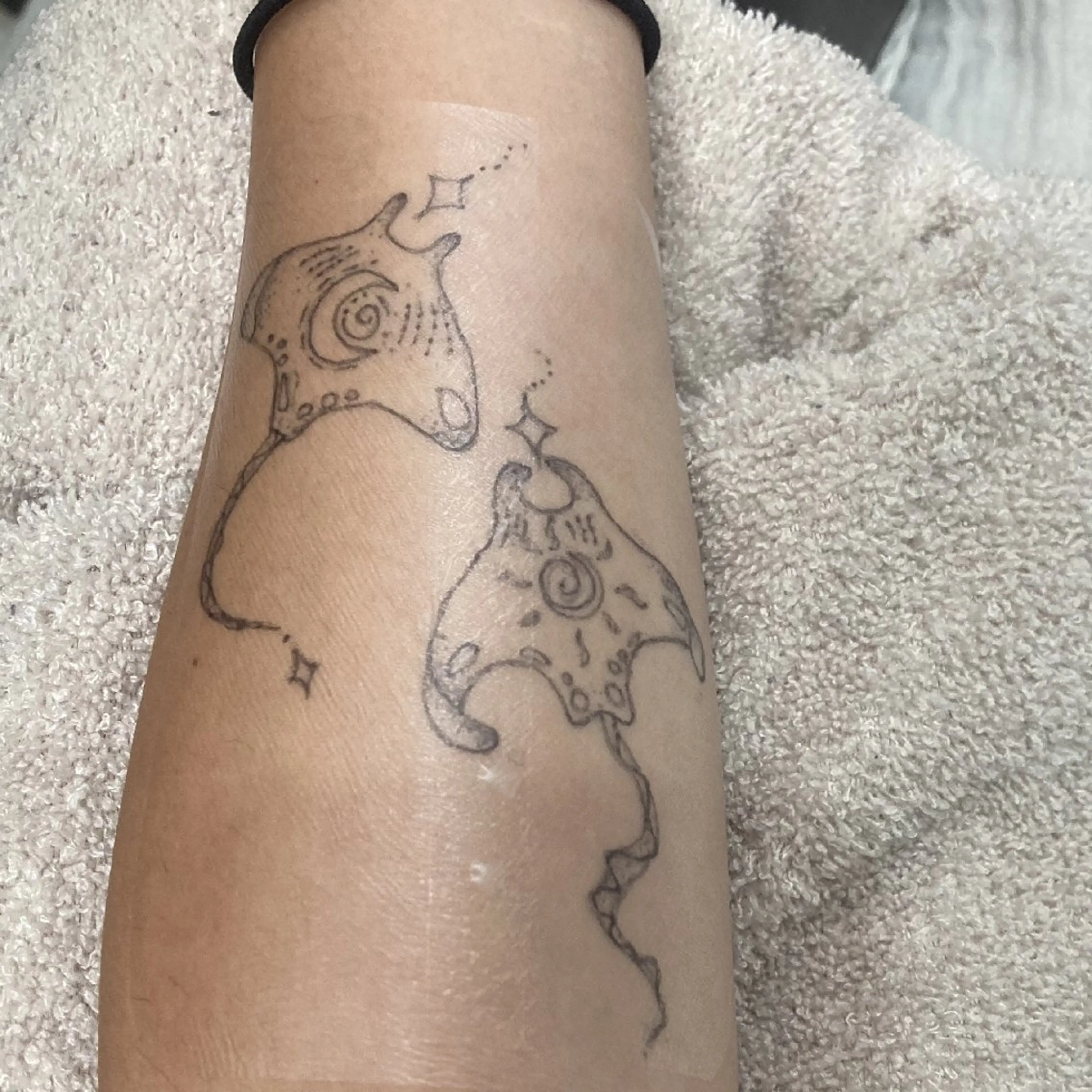 Terrace+所属・Terrace +のマツエク・マツパデザイン