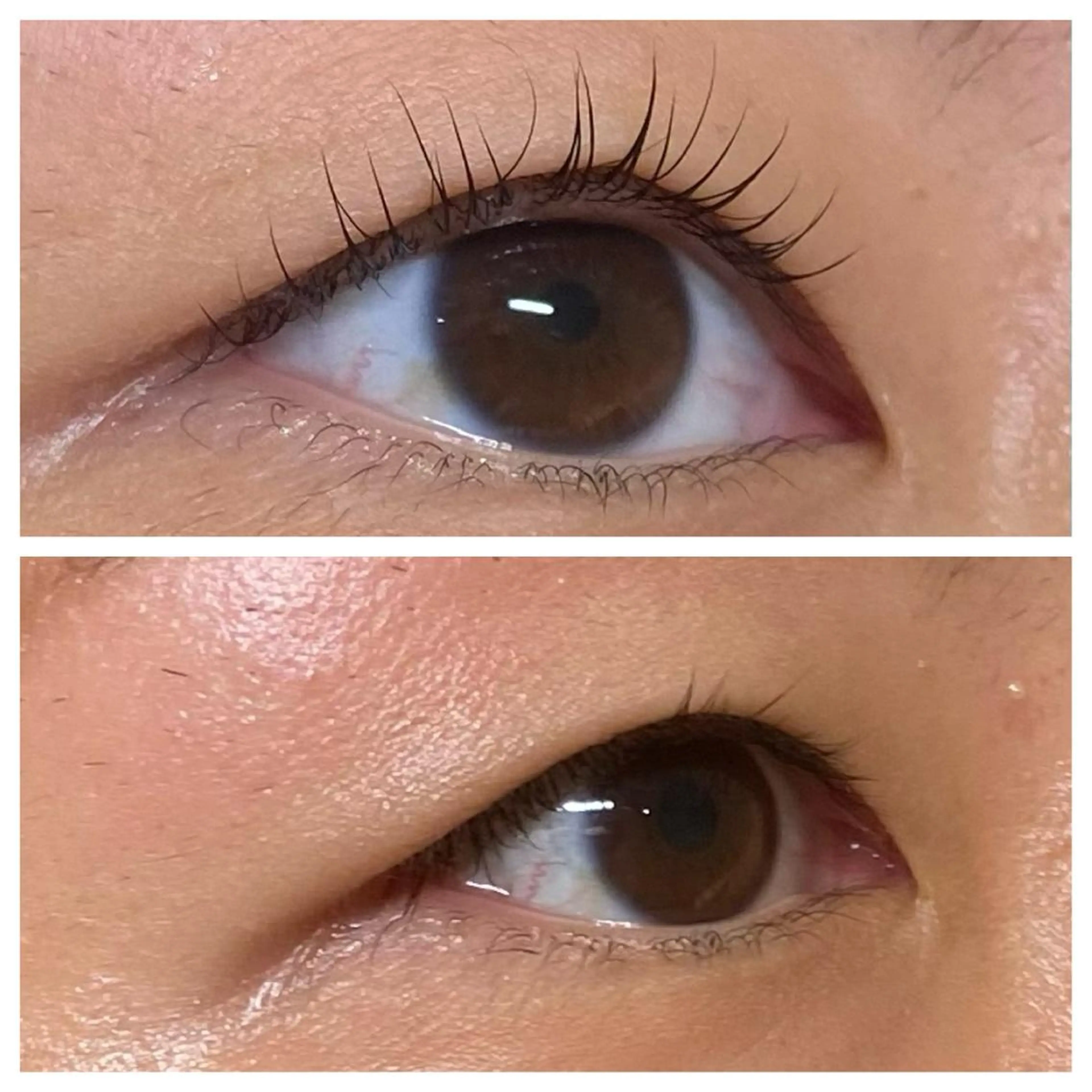 マツエク・マツパ パリジェンヌラッシュリフト アイリスト CHISAの眉毛・アイブロウイメージ