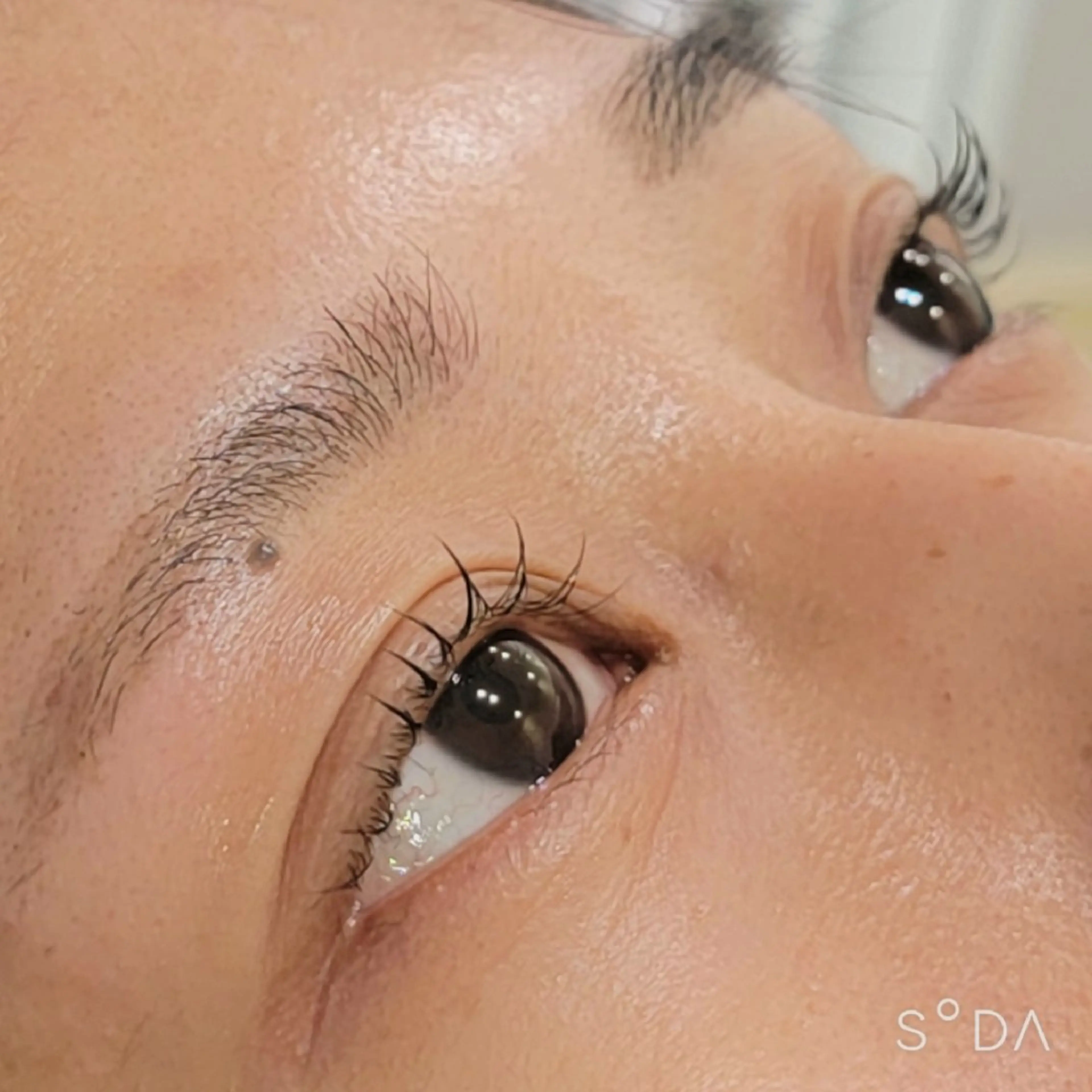 ☆12月限定☆眉WAX3980円の写真