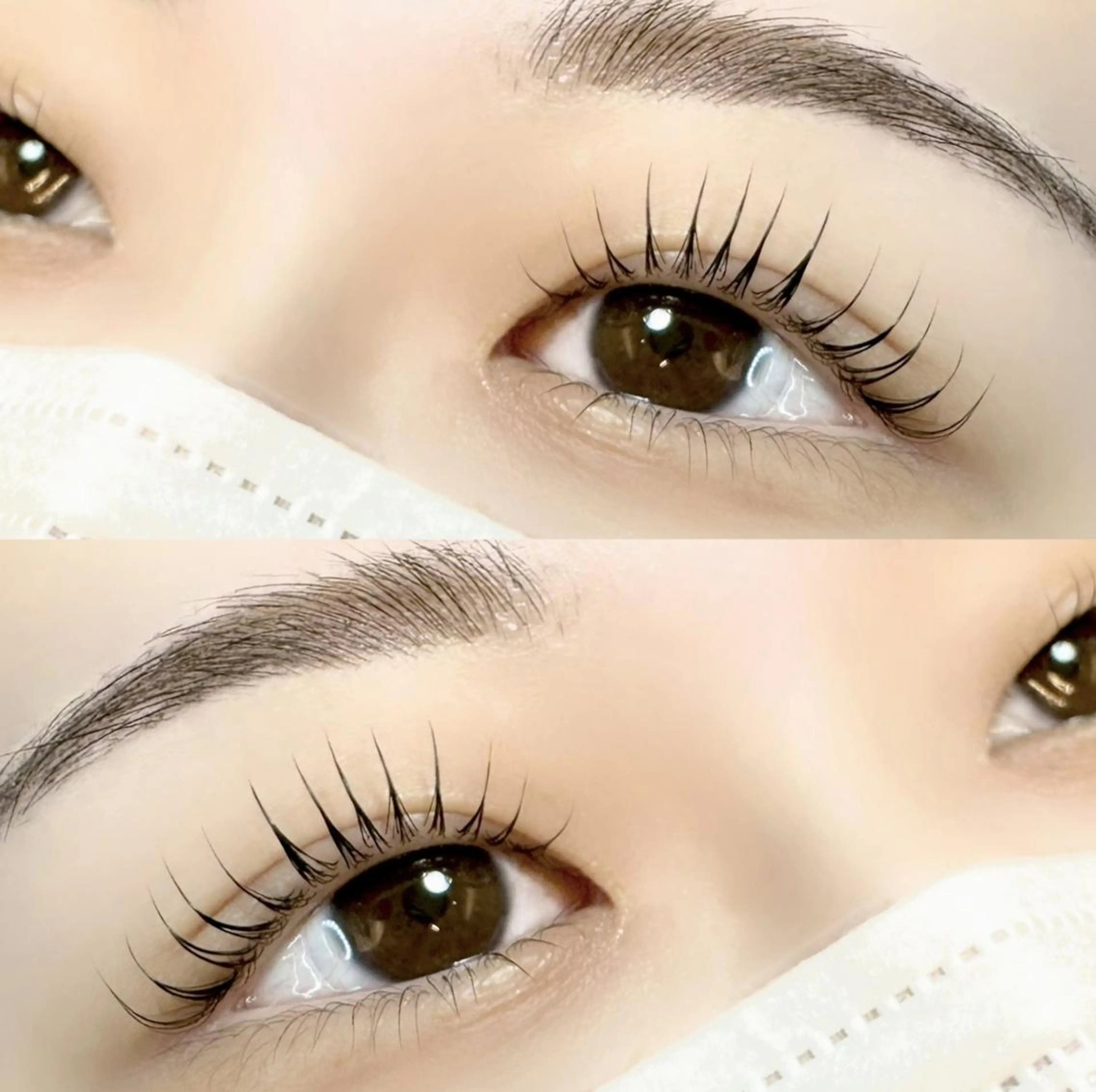 \人気No.3/🎀 セットでお得に 🎀【束感パリジェンヌ+美眉アイブロウスタイリング】🪽🦄時短でおすすめの写真