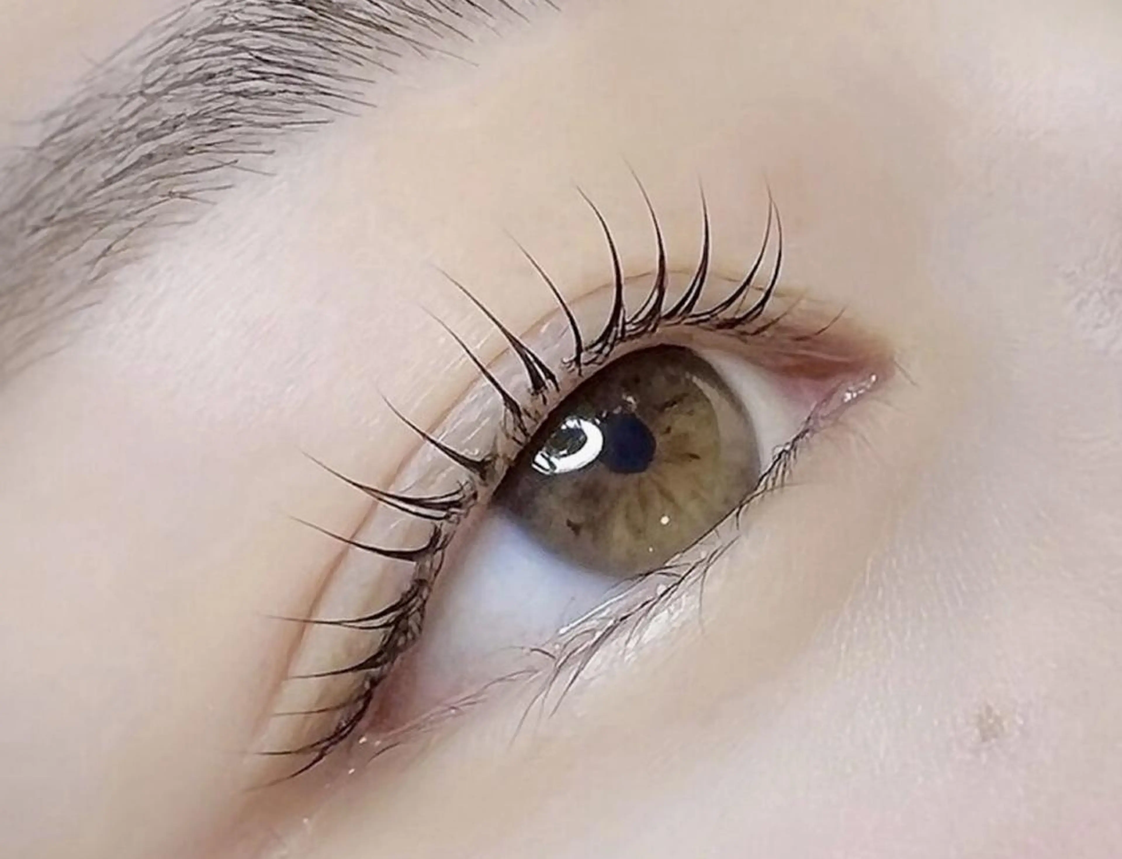 【平日限定💎】　似合わせまつ毛パーマ（潤いケラチンTR付き🌼）の写真