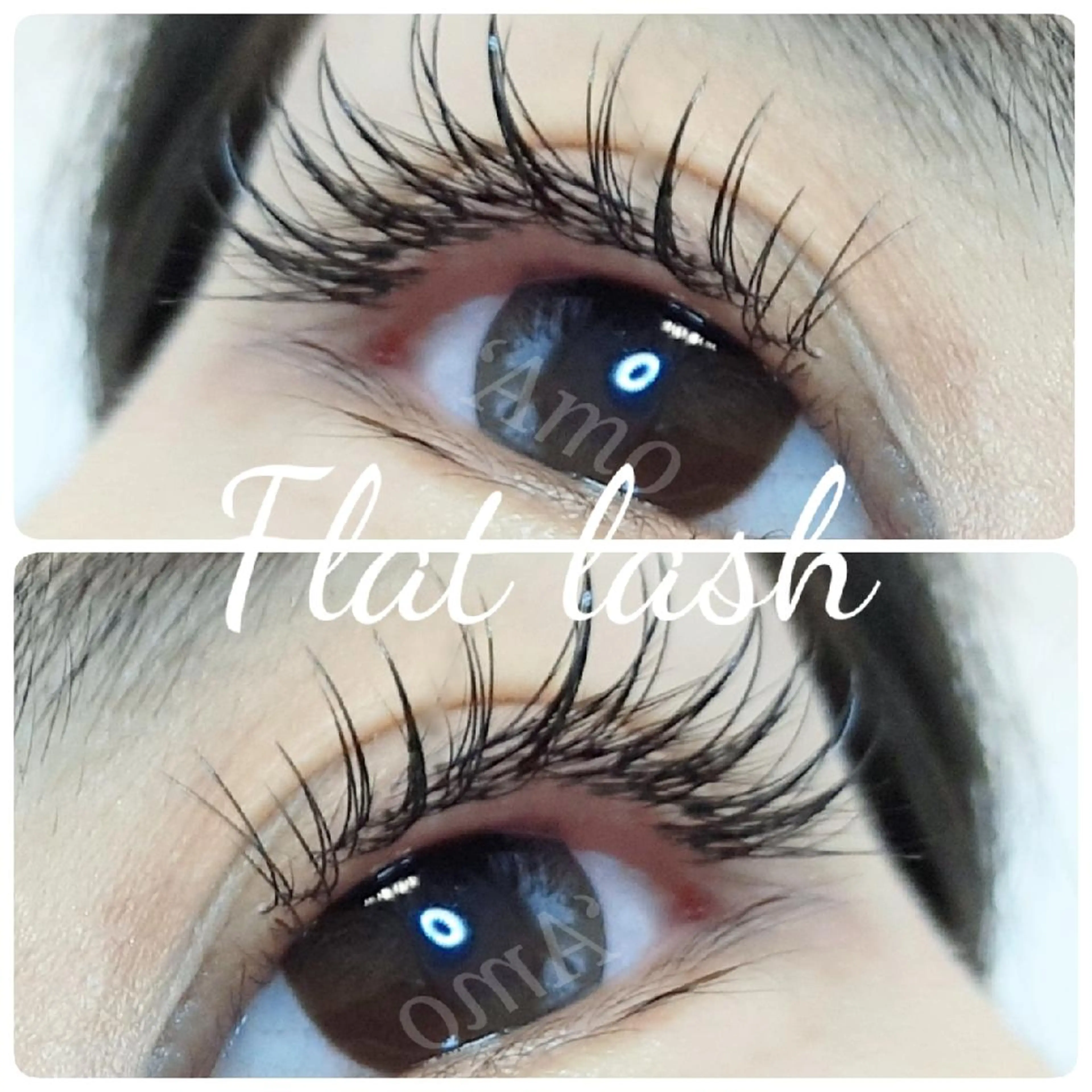 マツエク・マツパ Cカール キュート フラットラッシュ ナチュラル ‘Amo アモのマツエク・マツパデザイン