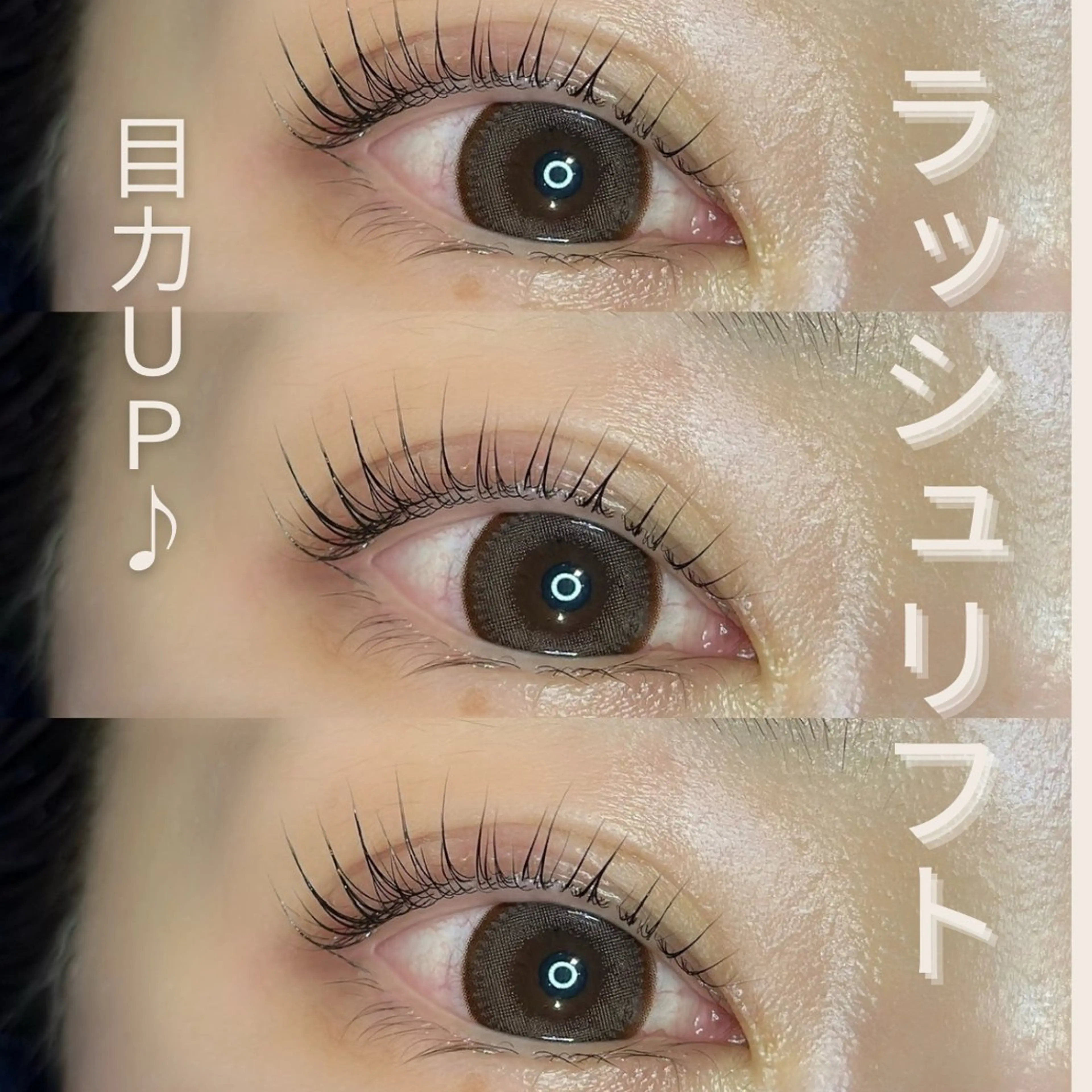 上ラッシュリフト🍀／お仕上げトリートメント付の写真