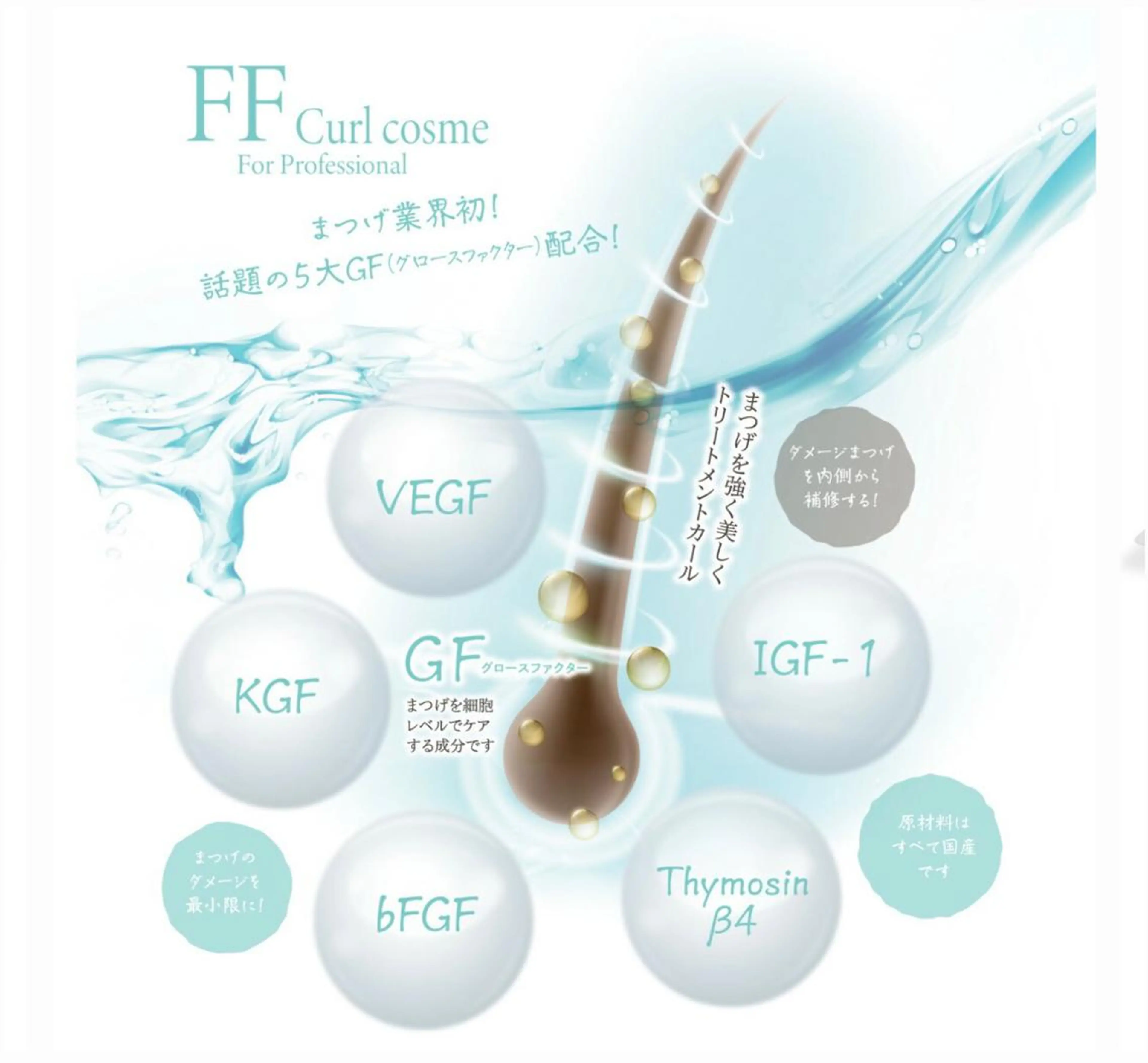 マツエク・マツパ eyelash  salon fまつエク・まつげパーマ【フランク】所属・eyelash f　香里園のマツエク・マツパデザイン