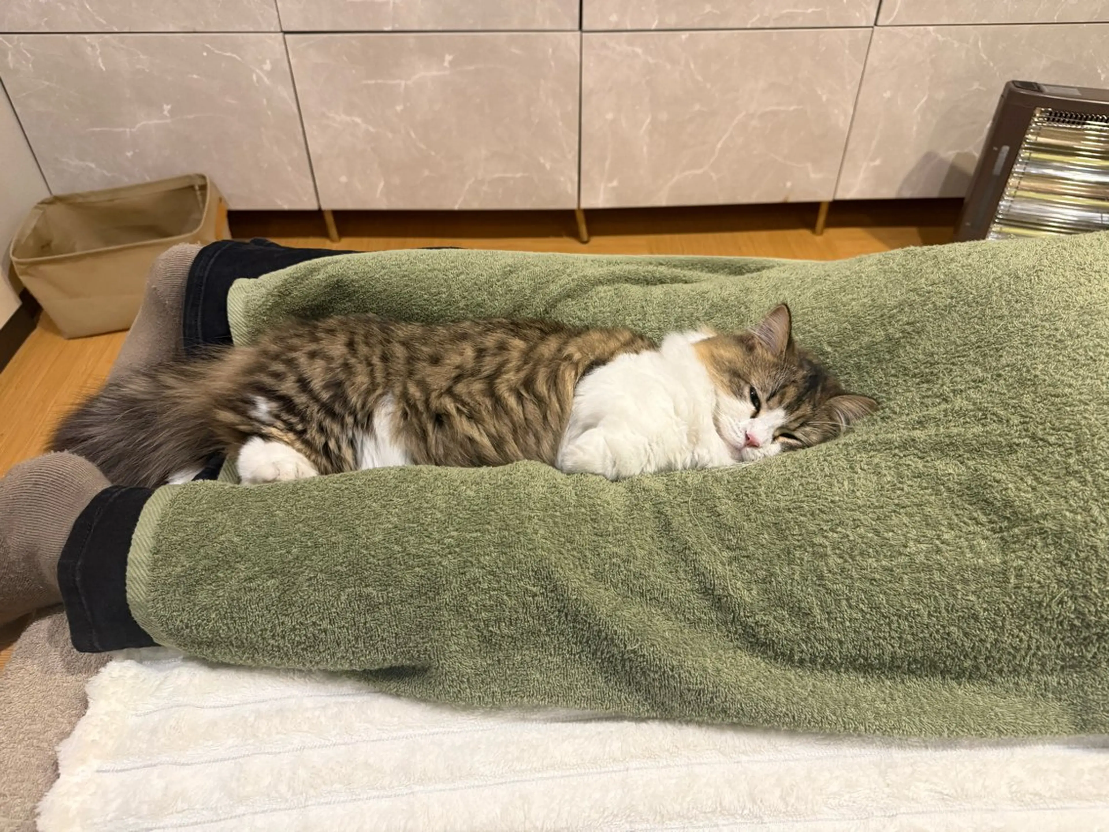 美容鍼・リラクゼーションサロン　晴々所属・清水 茜音のエステ・リラクイメージ