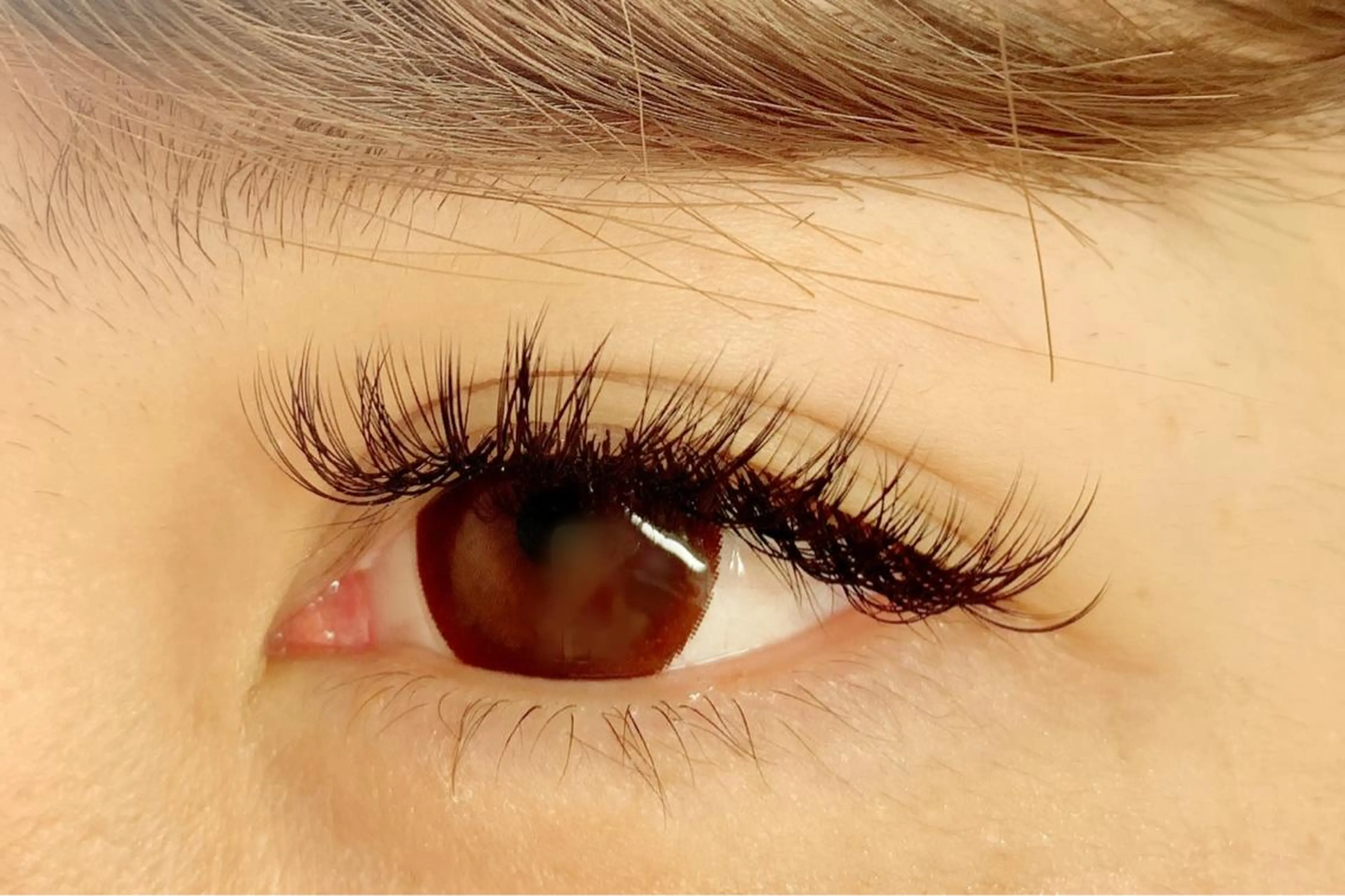 ใใใจใฏใปใใใ ใใใจใฏ ๐๐๐๐๐ ๐๐๐๐ใฎใใใจใฏใปใใใใใถใคใณ