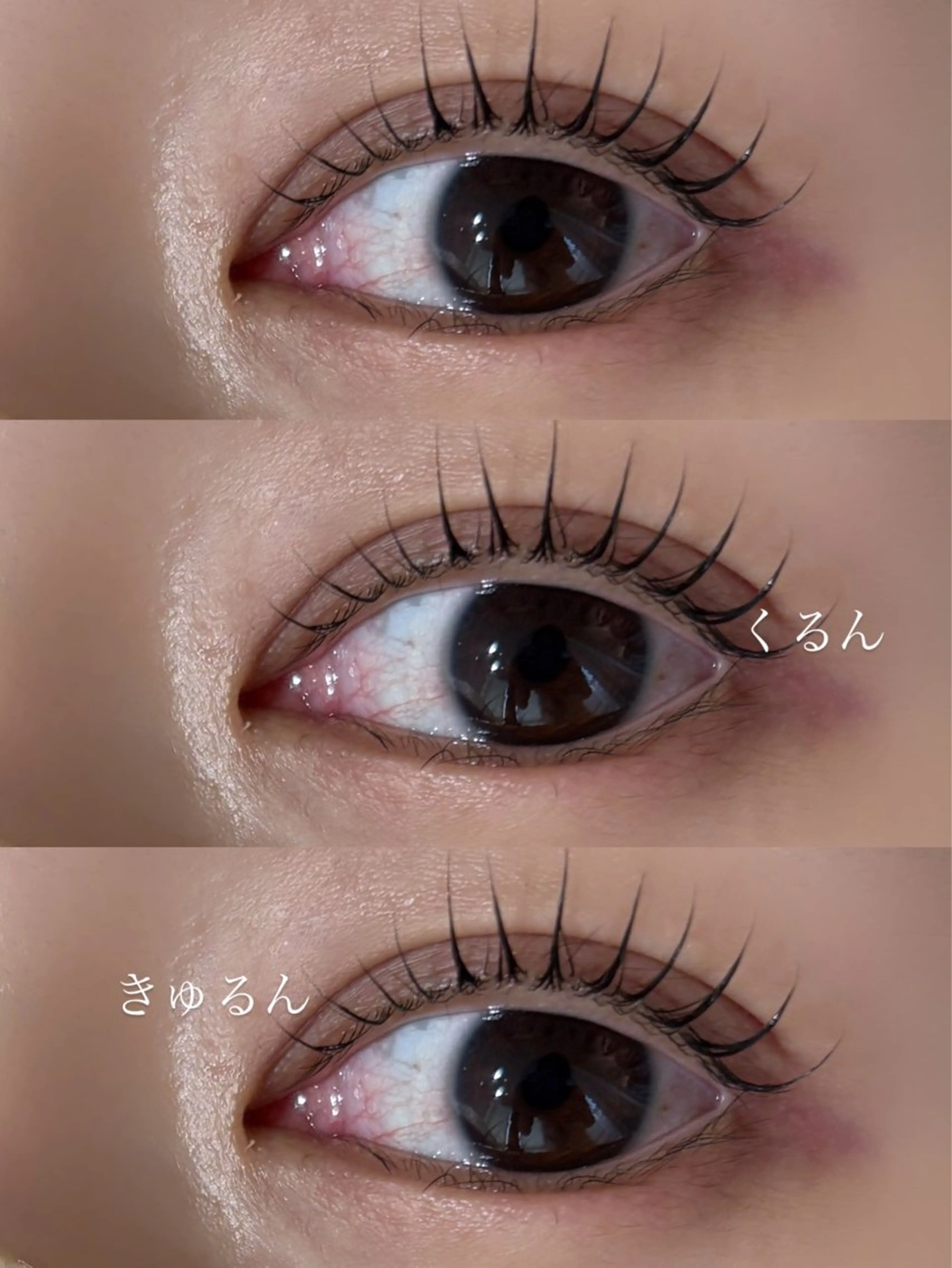 マツエク・マツパ tomida yukiの眉毛・アイブロウイメージ