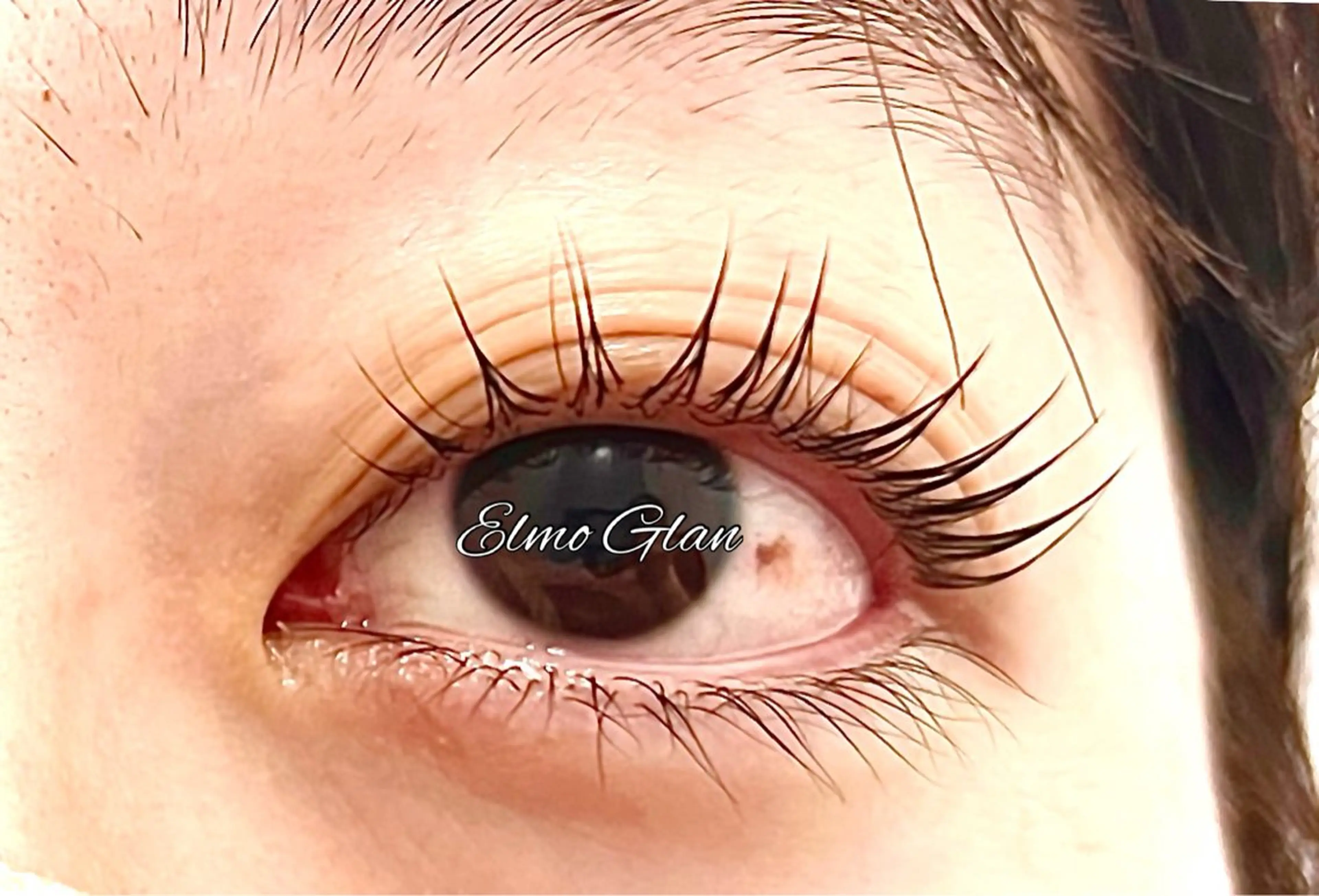 マツエク・マツパ マツパ Elmo Glan サカモトのマツエク・マツパデザイン