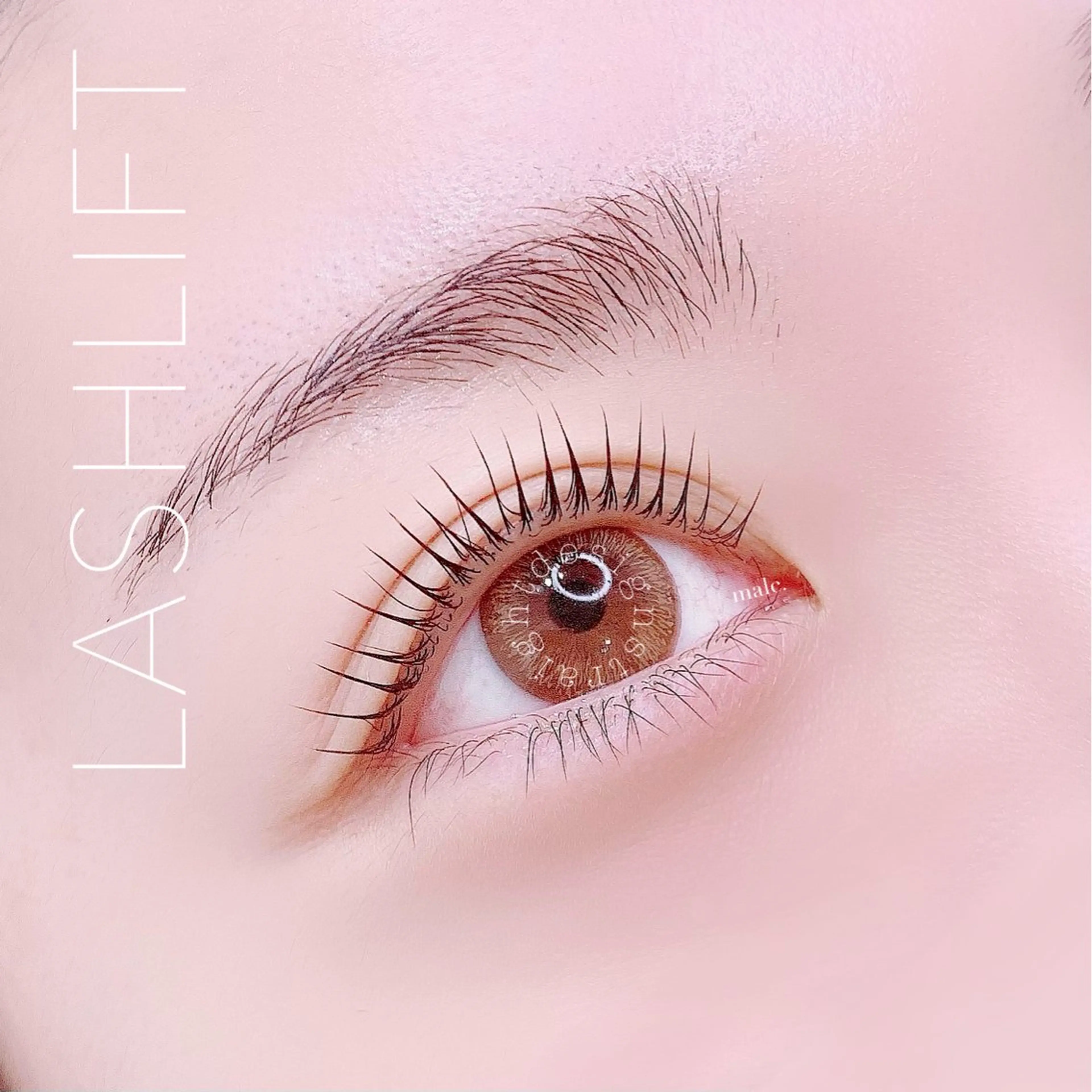 マツエク・マツパ ｍａｌｃ．所属・大阪/天王寺/寺田町 /河堀口のマツエク・マツパデザイン