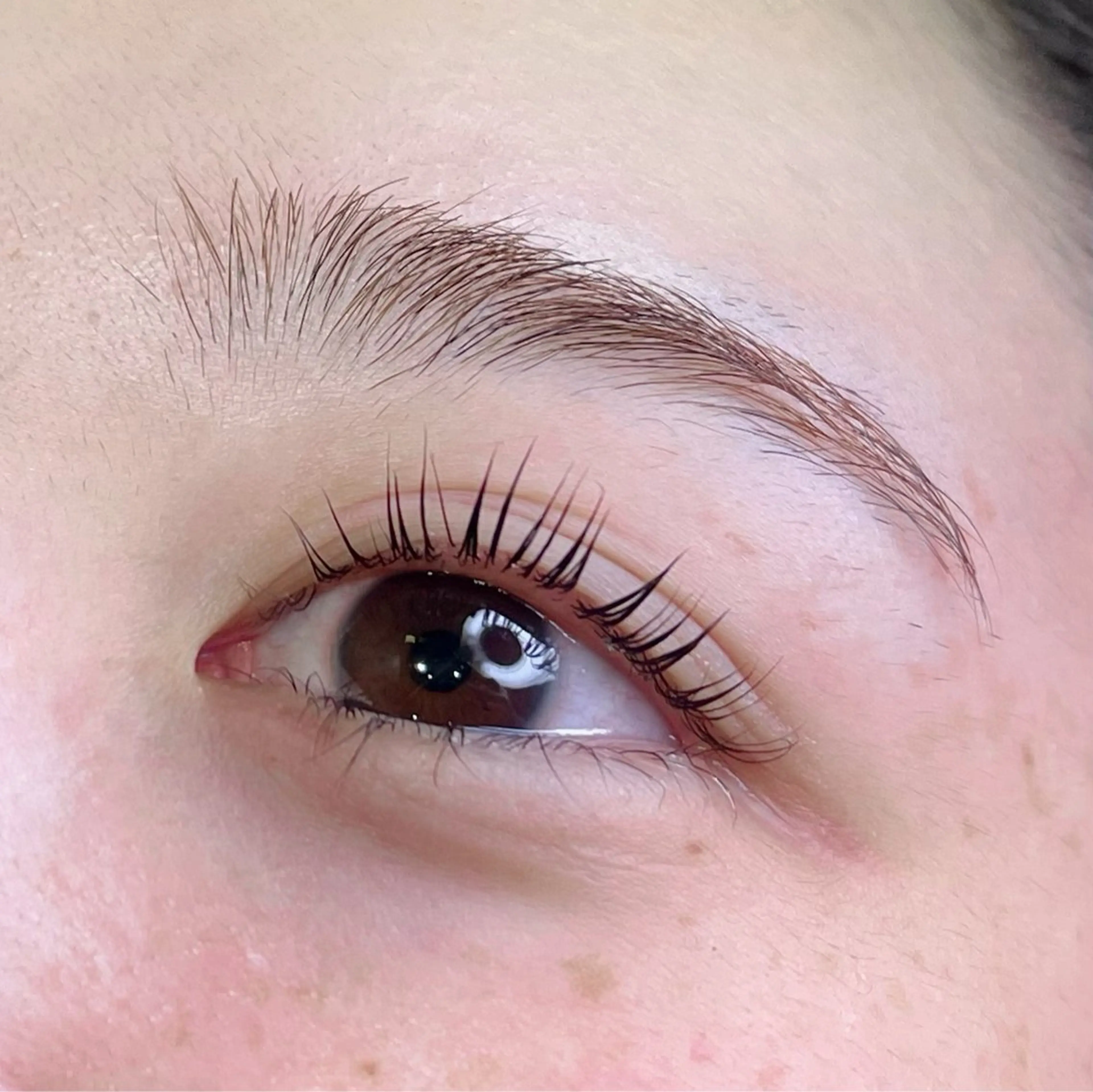 マツエク・マツパ Lily SHIINAの眉毛・アイブロウイメージ