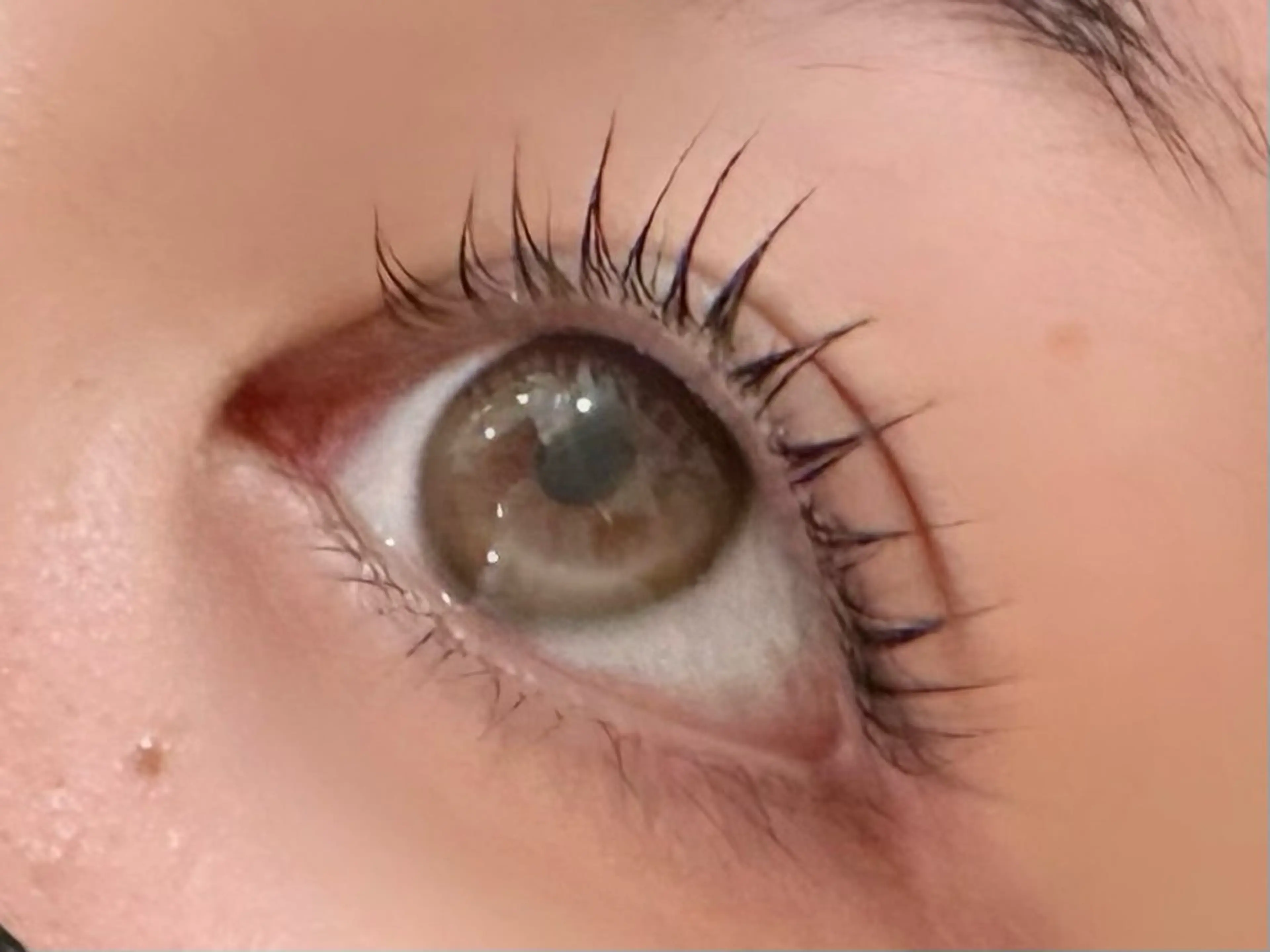 マツエク・マツパ マツパ koa【  コア⠀】所属・Koa🦋ma ho🦋のその他イメージ