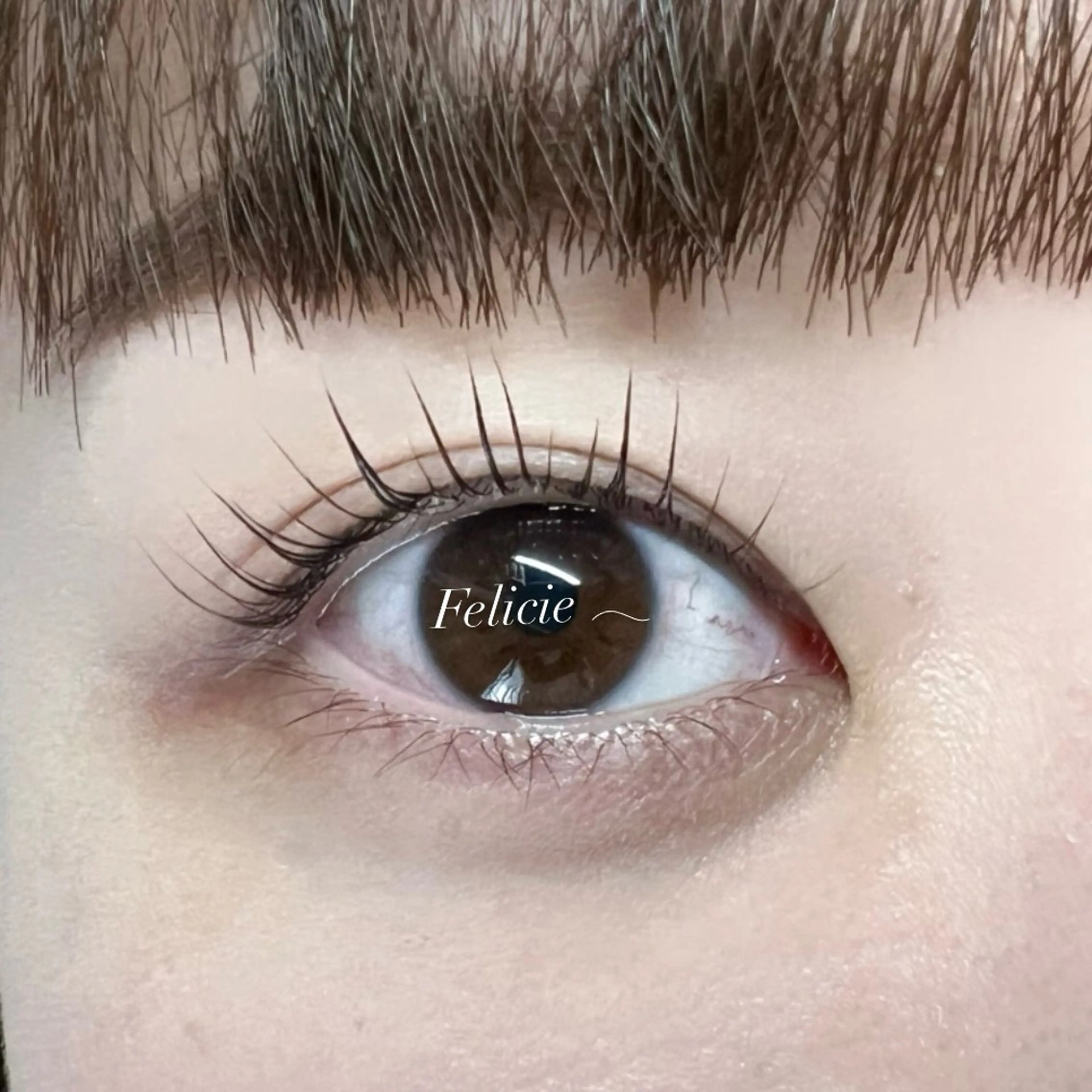 マツエク・マツパ パリジェンヌラッシュリフト マツパ Felicie＊ Sayakaのマツエク・マツパデザイン