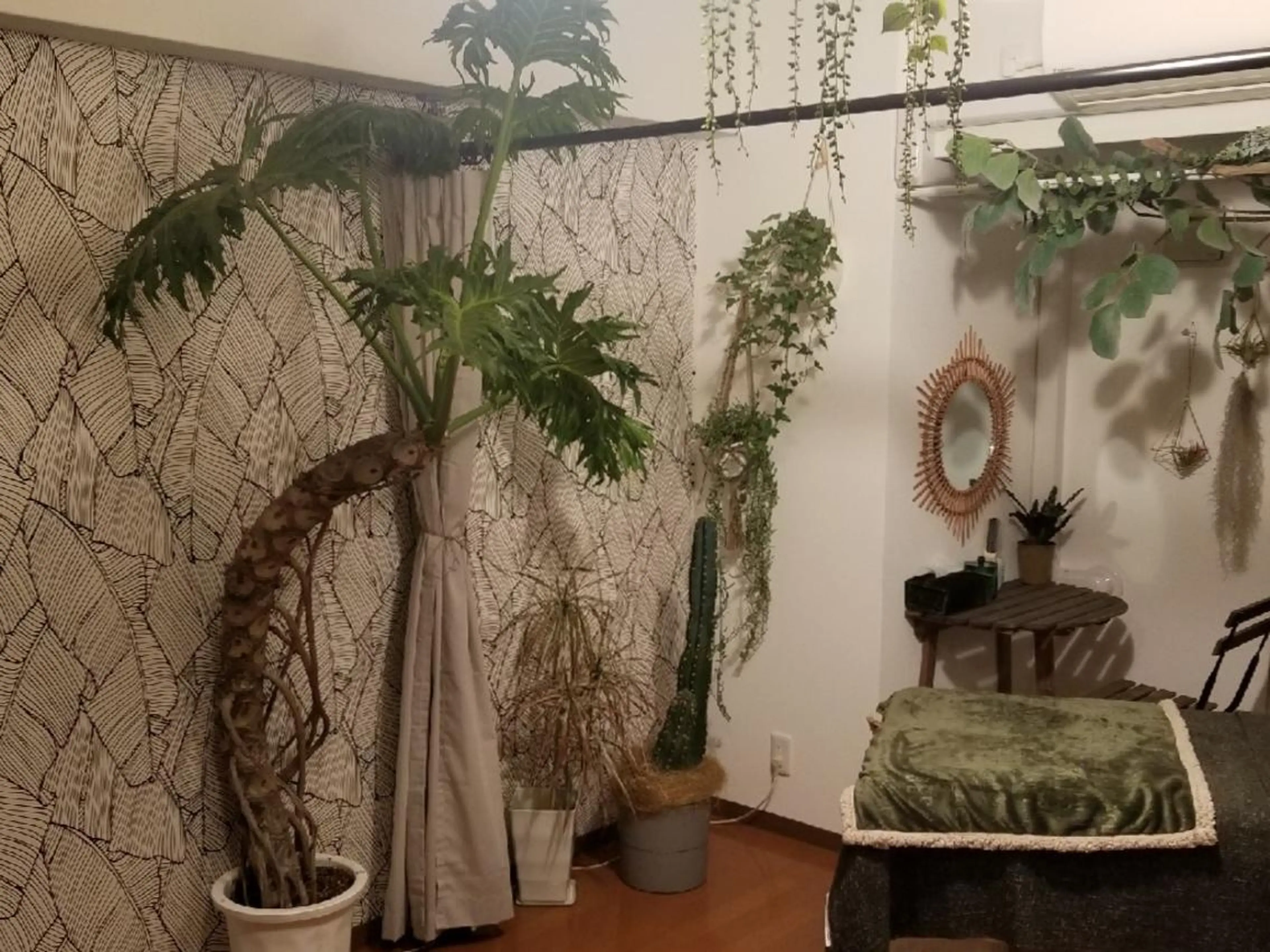 U_la所属・U_la [ウーラ] 片岡の眉毛・アイブロウイメージ