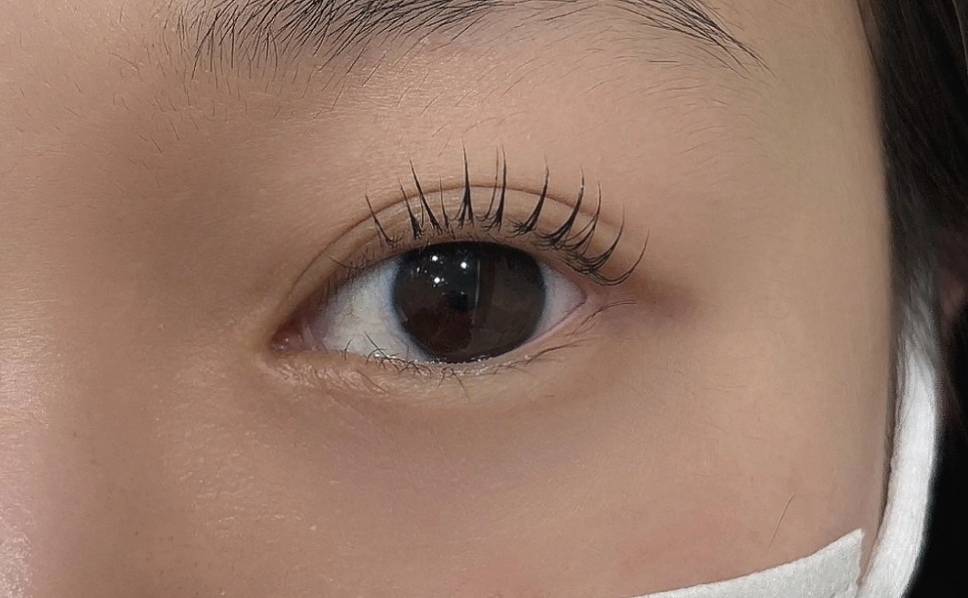 マツエク・マツパ マツパ une FEMINの眉毛・アイブロウイメージ