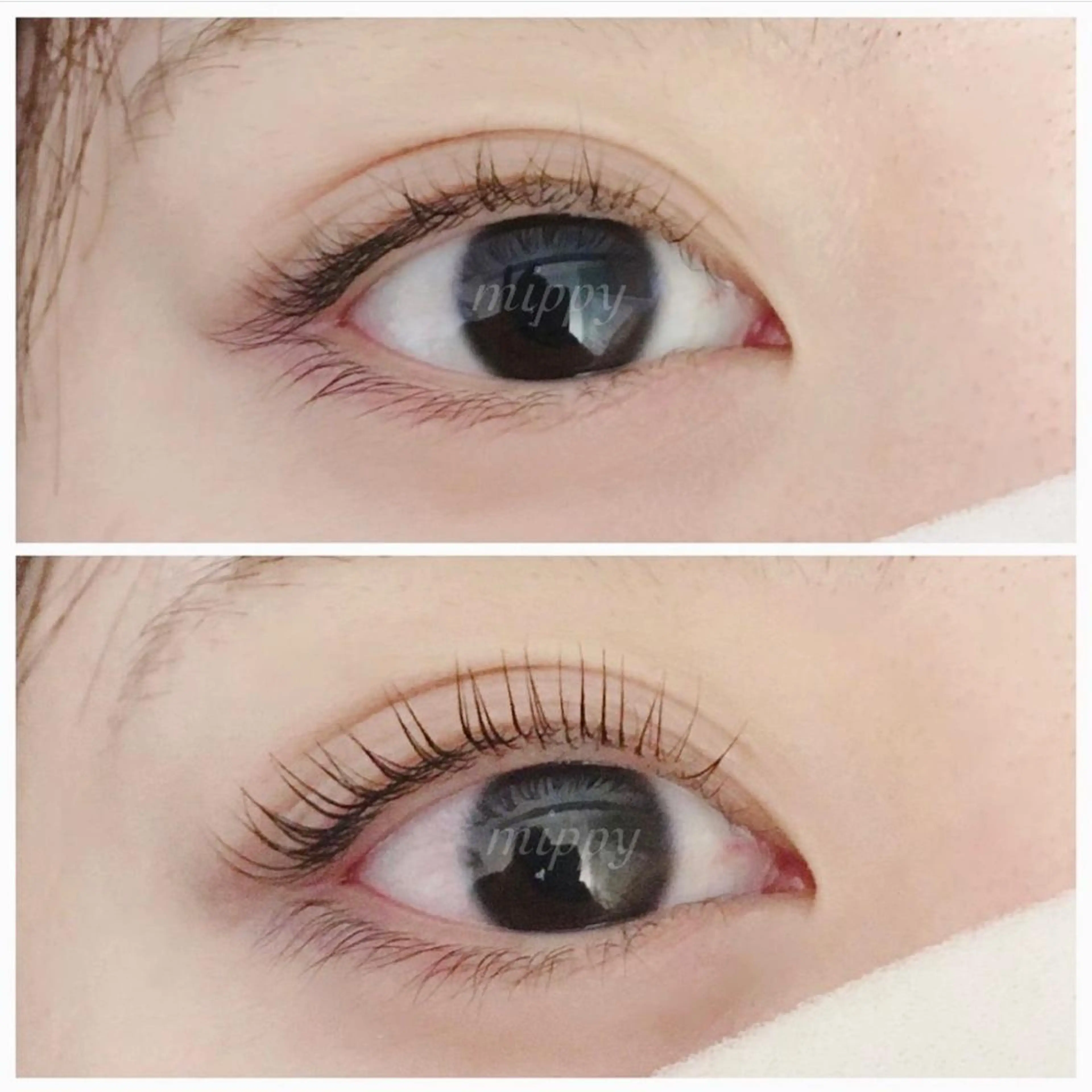 マツエク・マツパ パリジェンヌラッシュリフト ｍｉｐｐｙ 🪽のマツエク・マツパデザイン