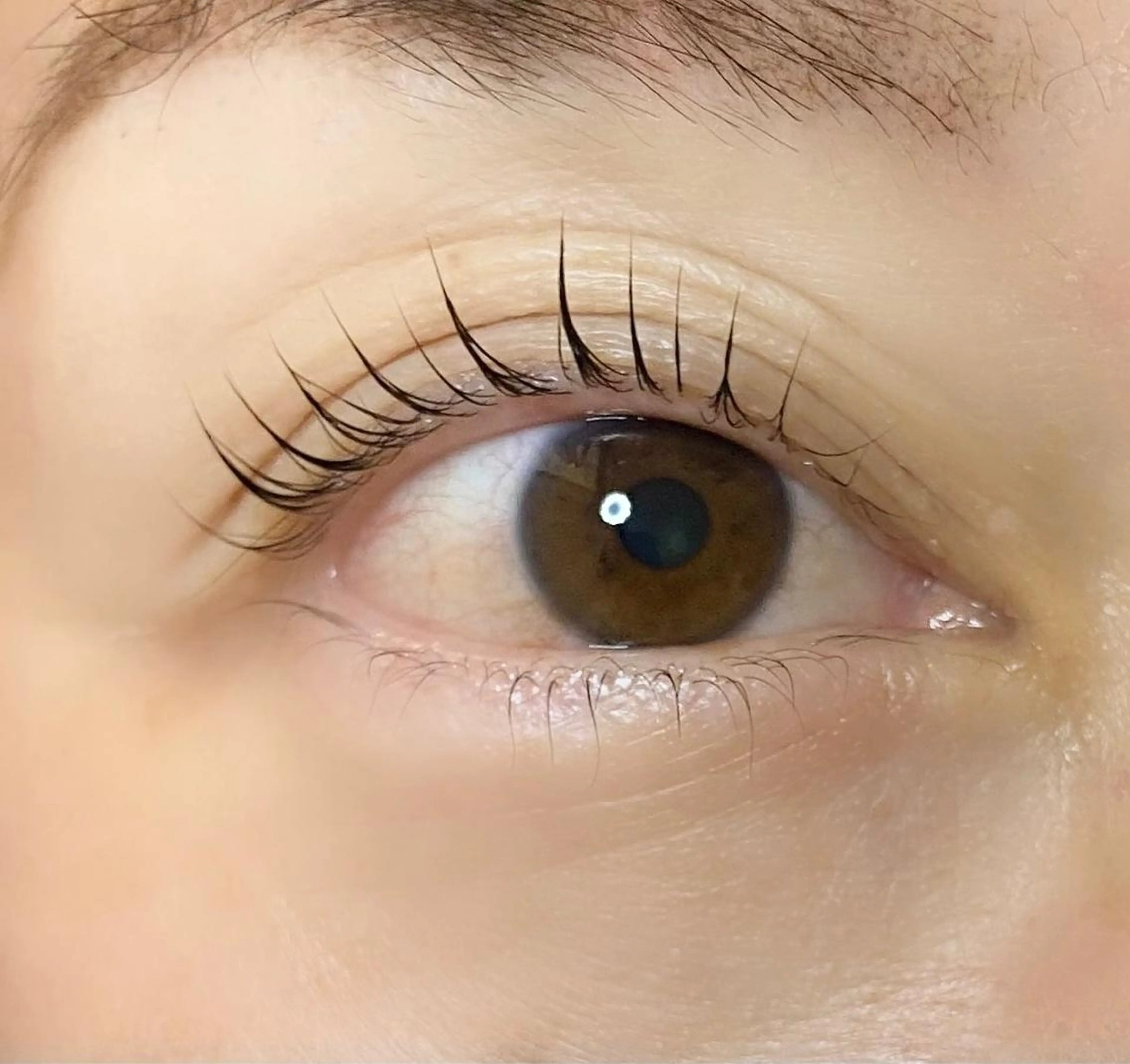 マツエク・マツパ 内藤 由貴のマツエク・マツパデザイン