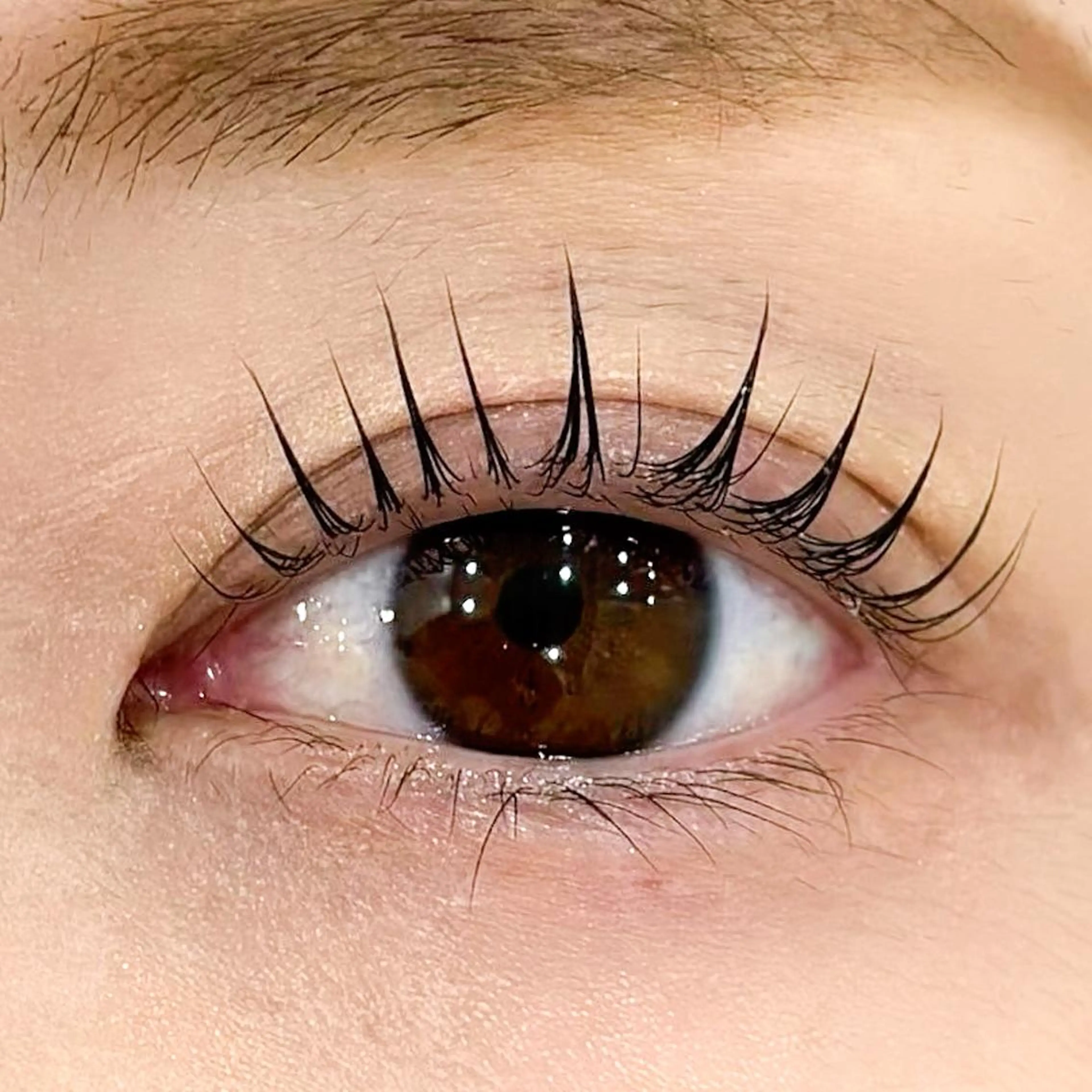 目元の存在感UP💚【上下パリジェンヌラッシュリフト】×🍎コーティングorアイシャンプー付き🍎✨の写真