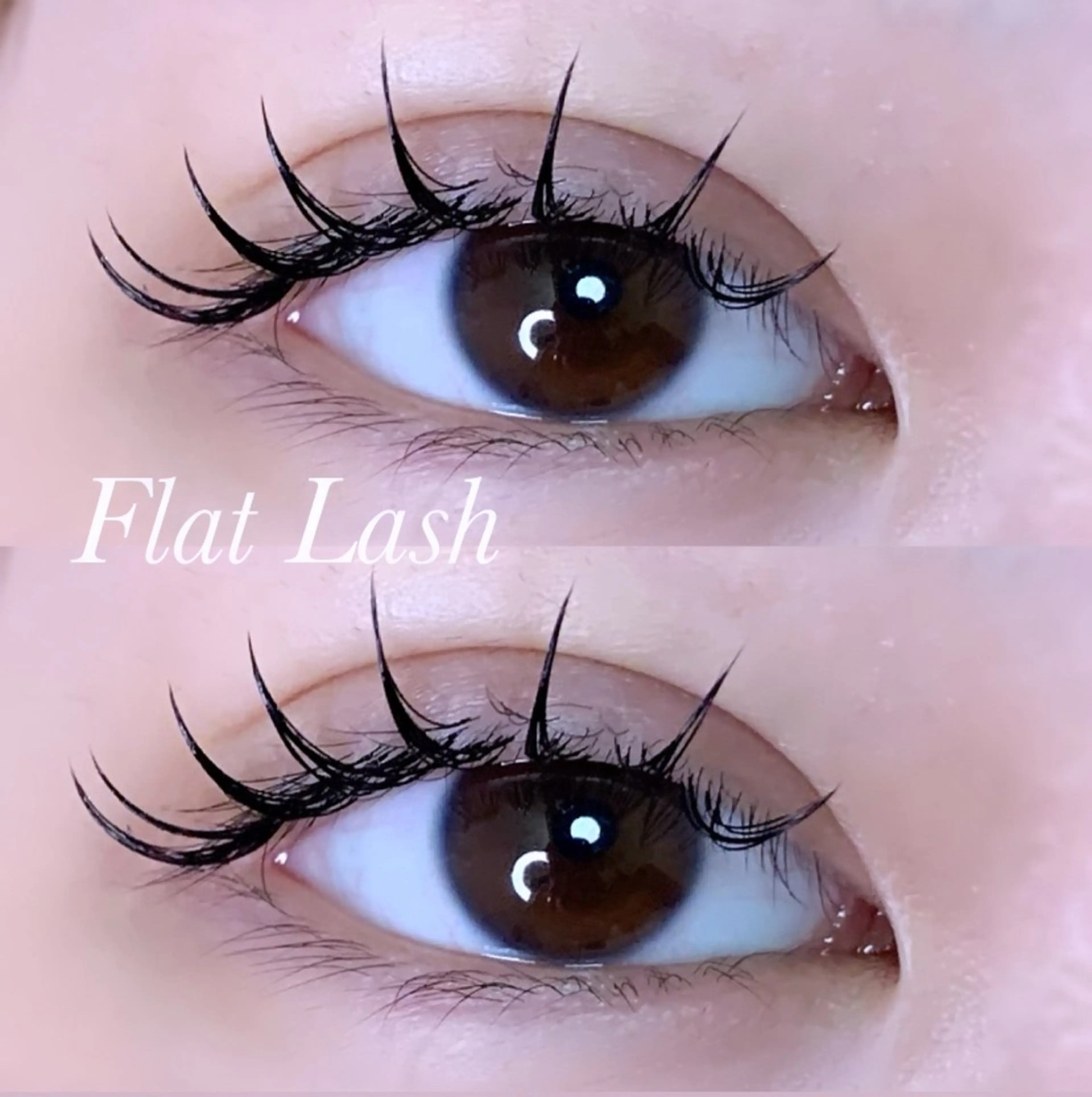 マツエク・マツパ Cカール フラットラッシュ マツエク Ayumi.pro 🍆N《4階》のマツエク・マツパデザイン